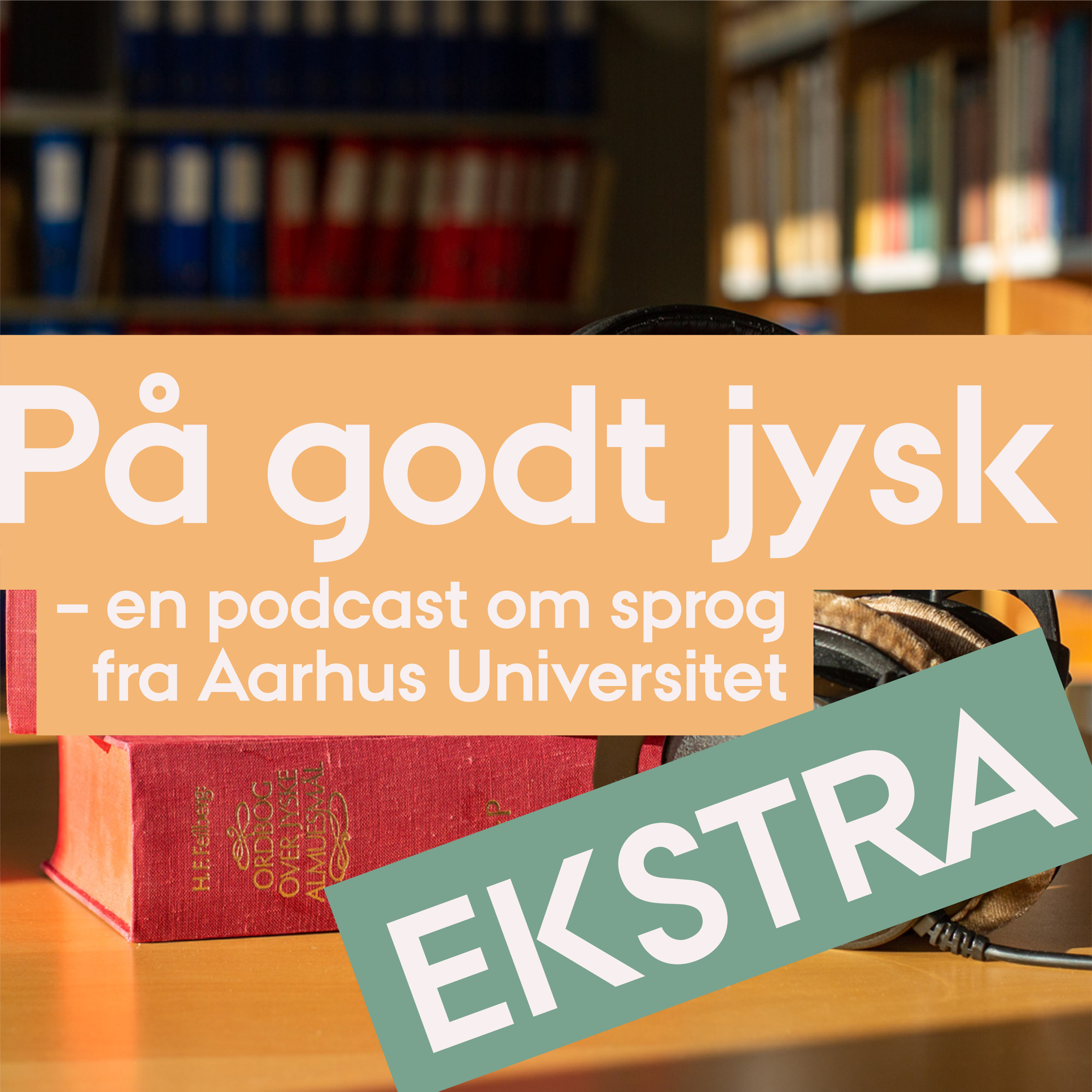 1.08 EKSTRA: Mere om thybomål i skønlitteraturen og lidt om Thy-ordbøgerne episode artwork