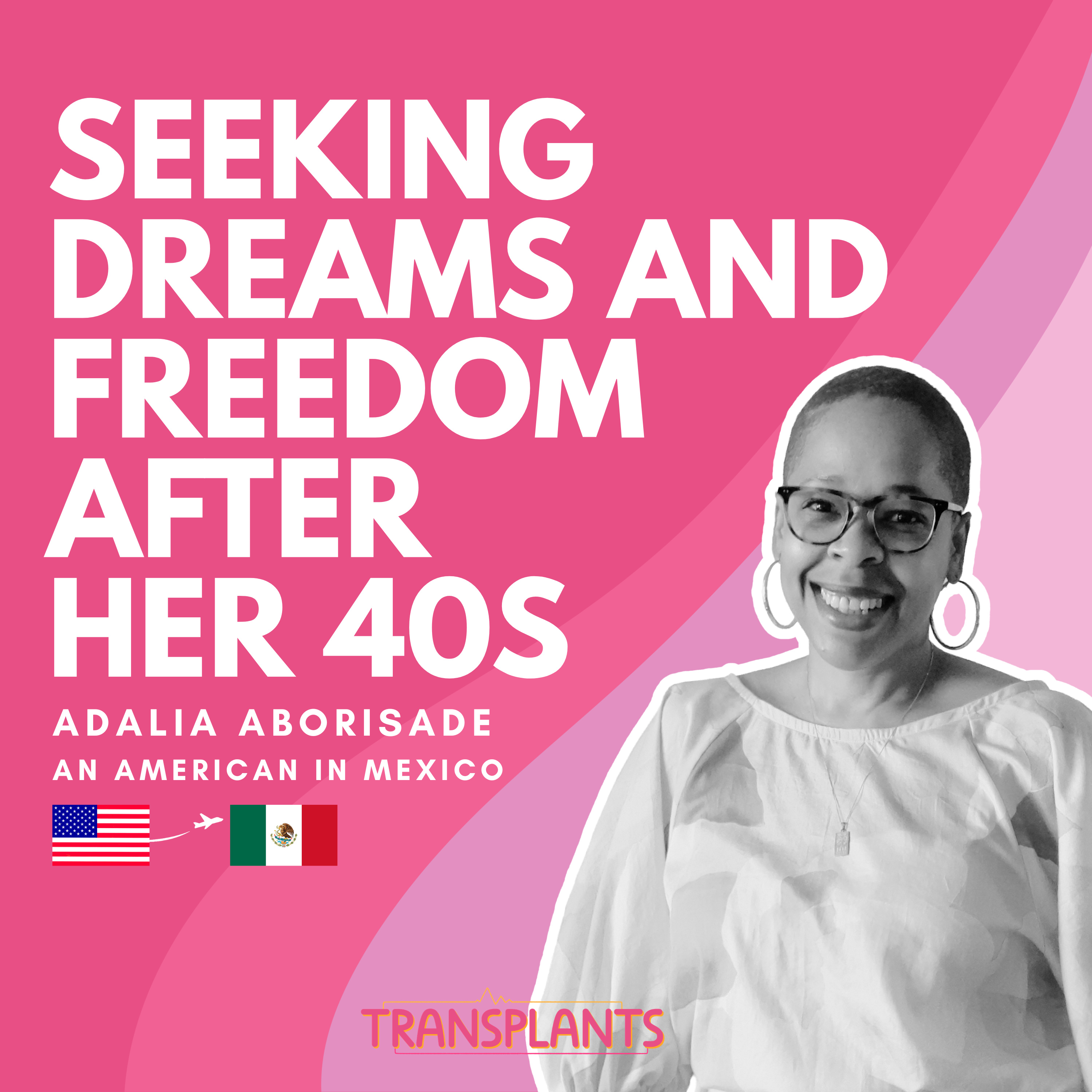 Transplants by Laura Peruchi - Conversations With Women Thriving Abroad