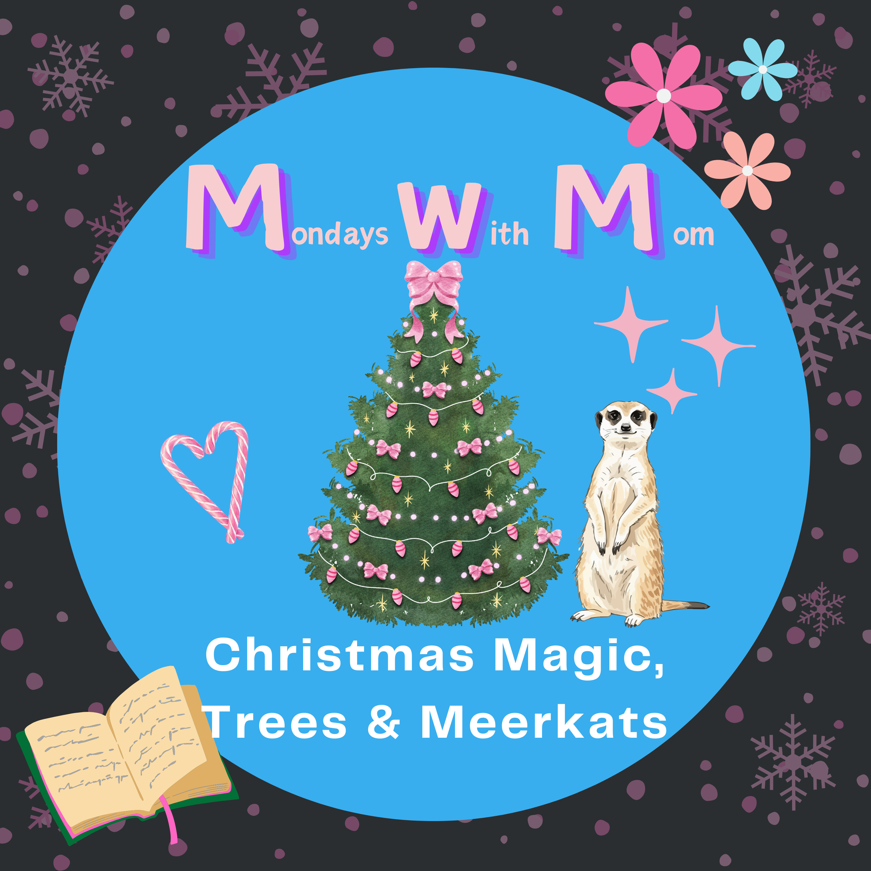 Christmas Magic, Trees & Meerkats episode artwork
