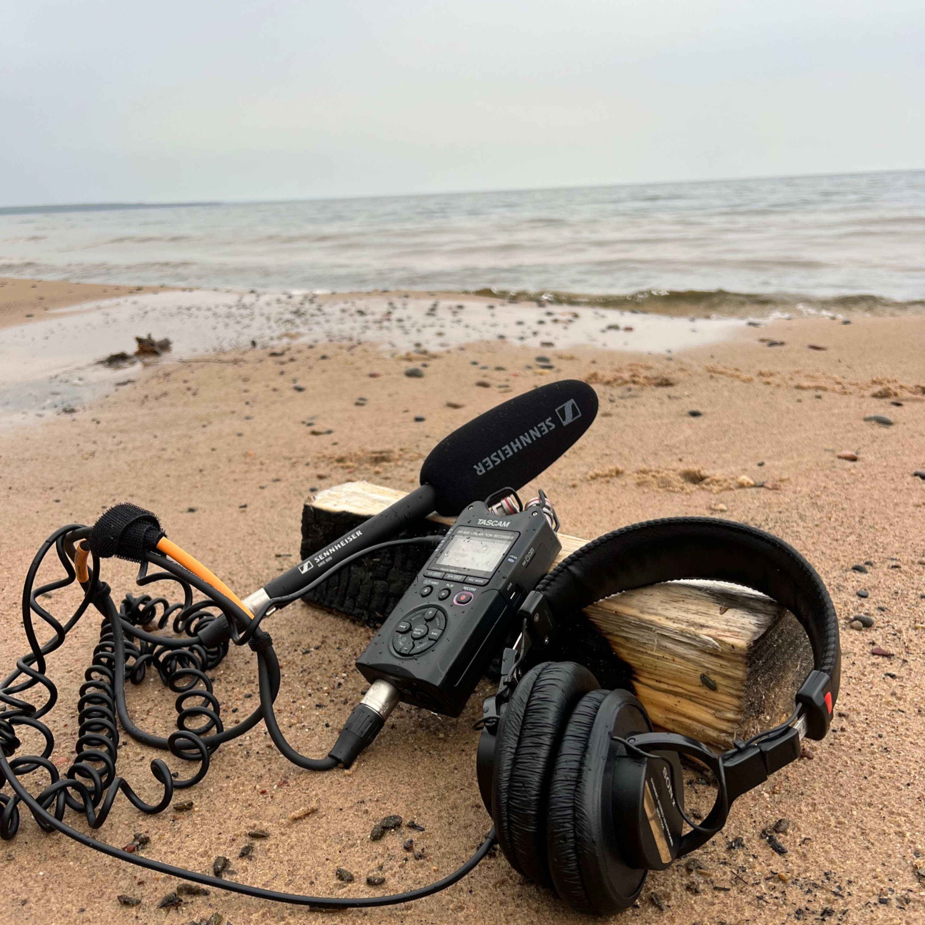 Bark Dock Beach | Lake Superior