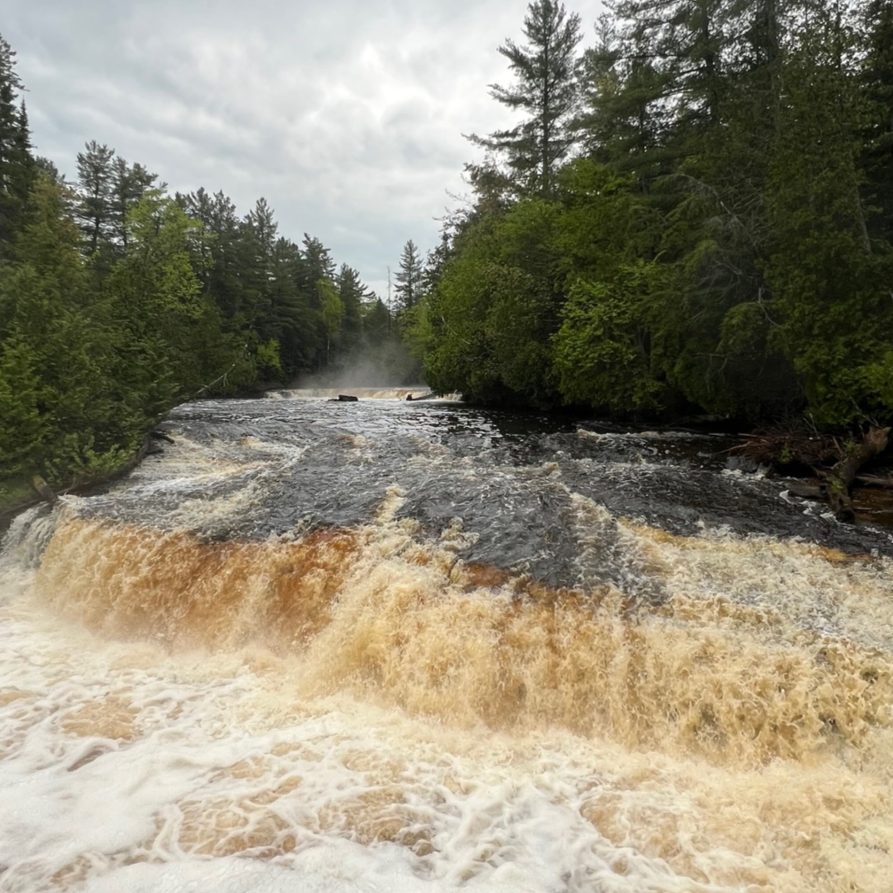 Lower Tahquamenon Falls | Upper Peninsula