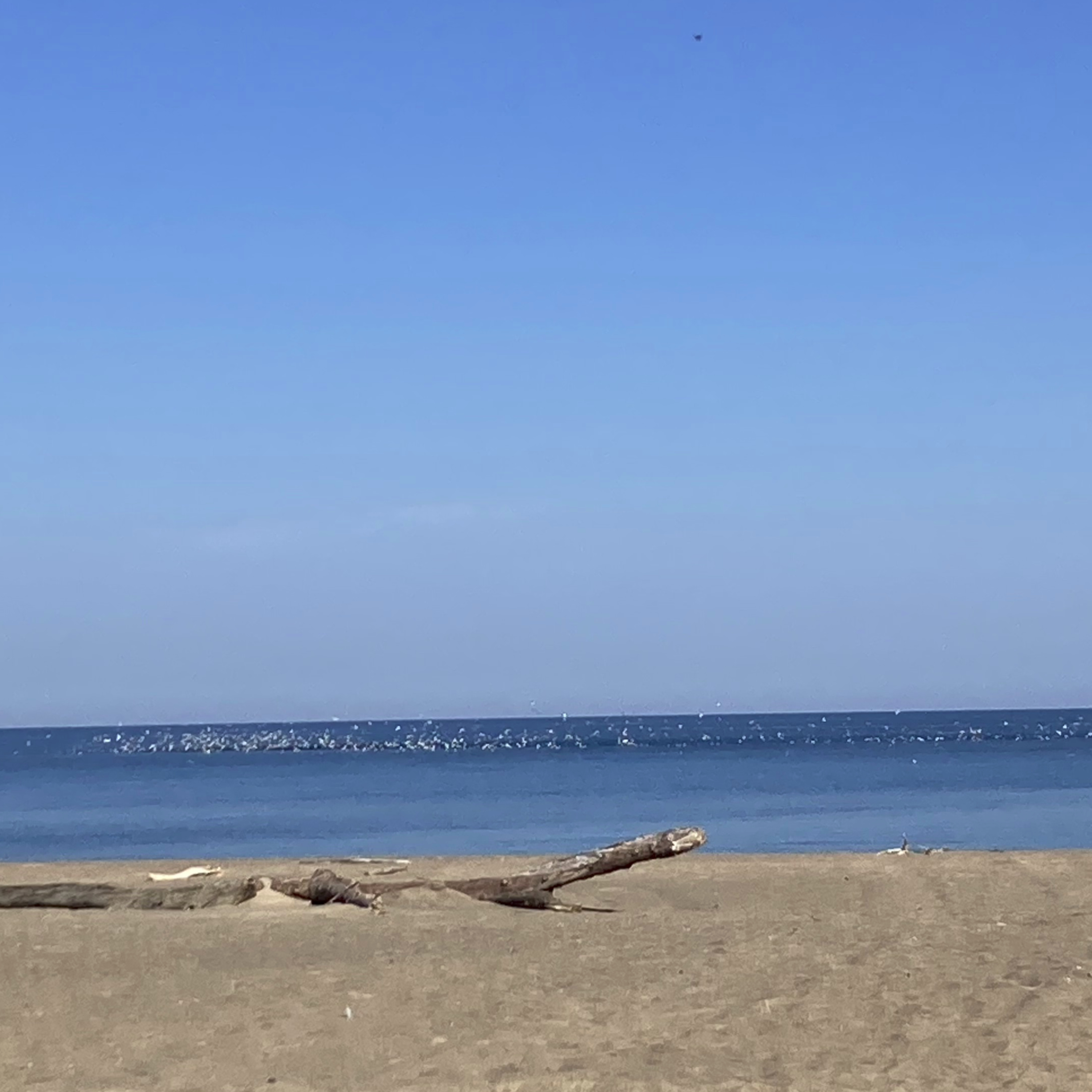 Presque Isle Beach | Lake Erie