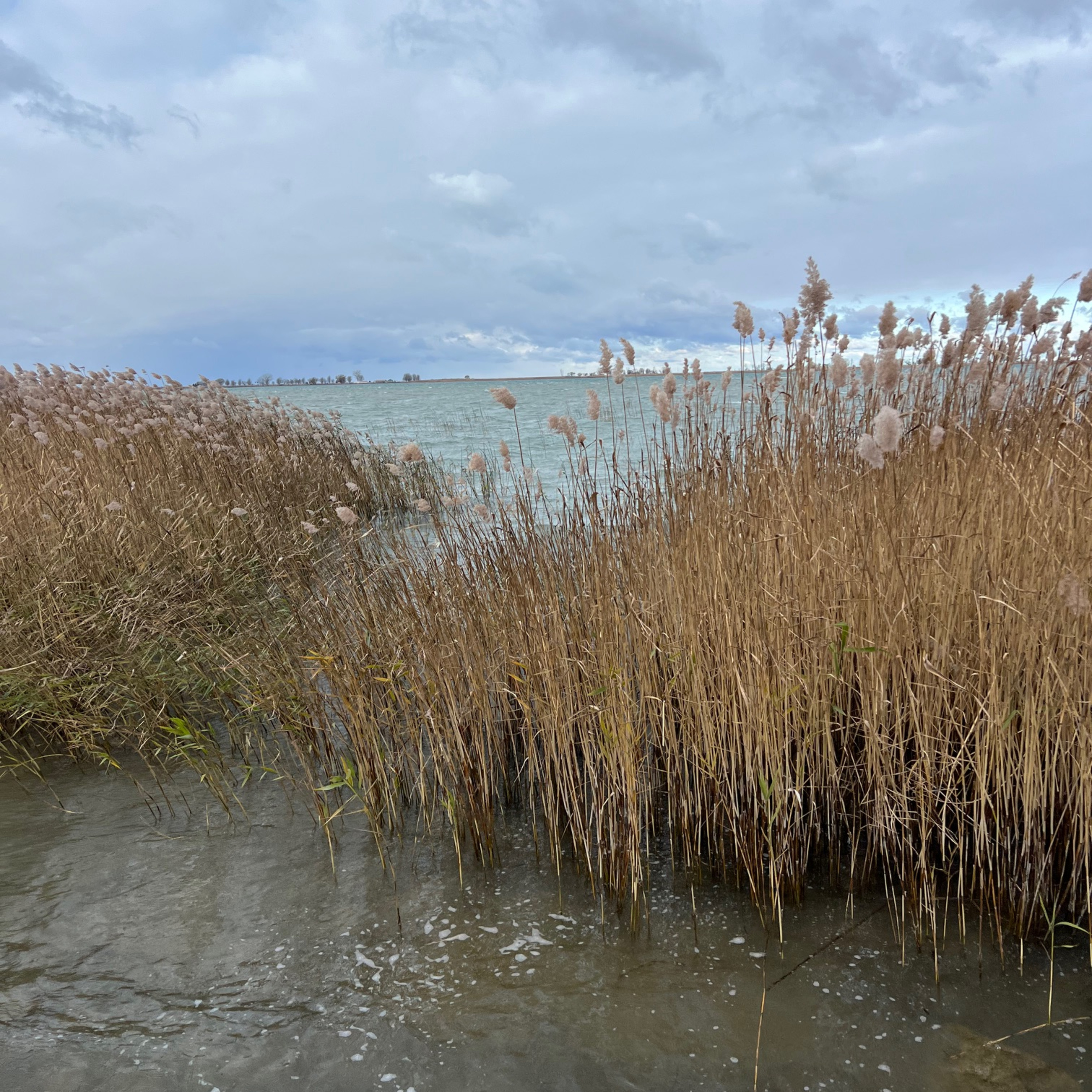 St. Clair Flats | Harsens Island