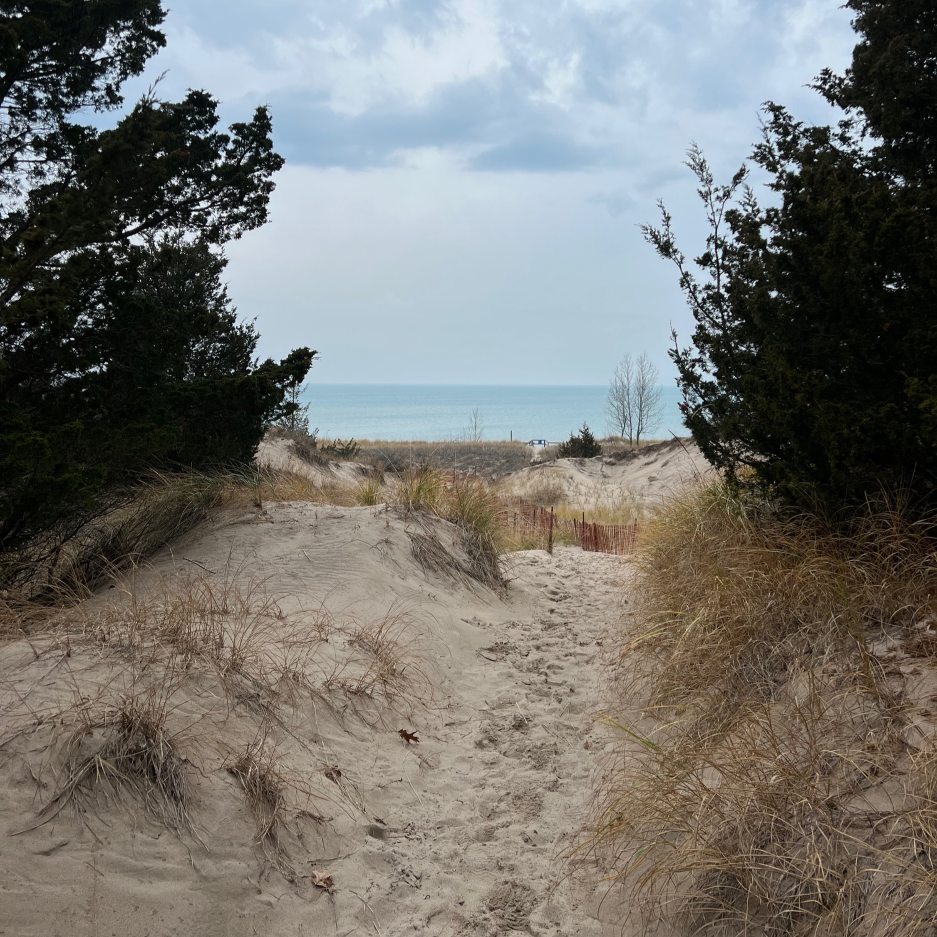 Pinery Dunes and Beach | Lake Huron