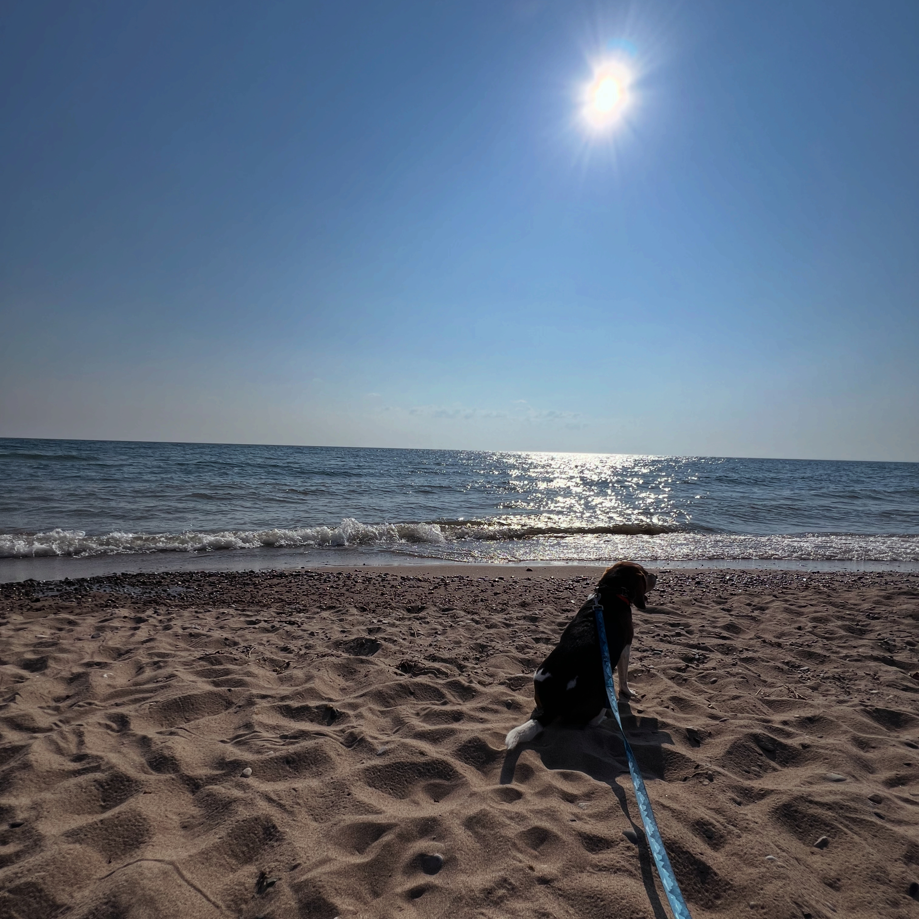 Bonus Montage | Lake Huron episode artwork