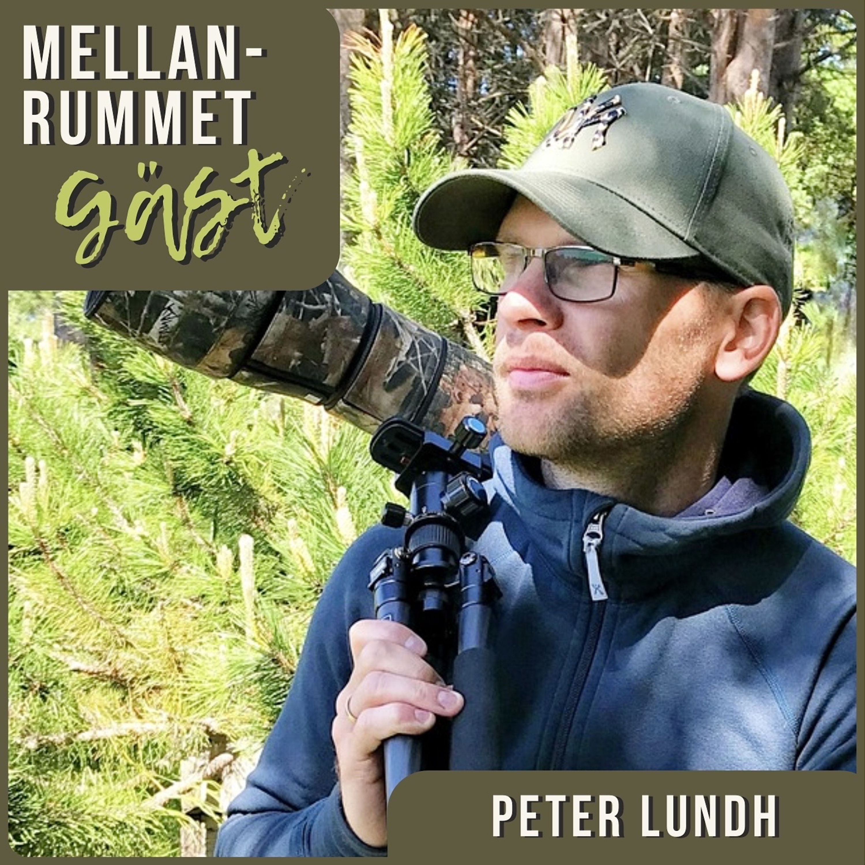 12. Haren & partystruten, med Peter Lundh episode artwork