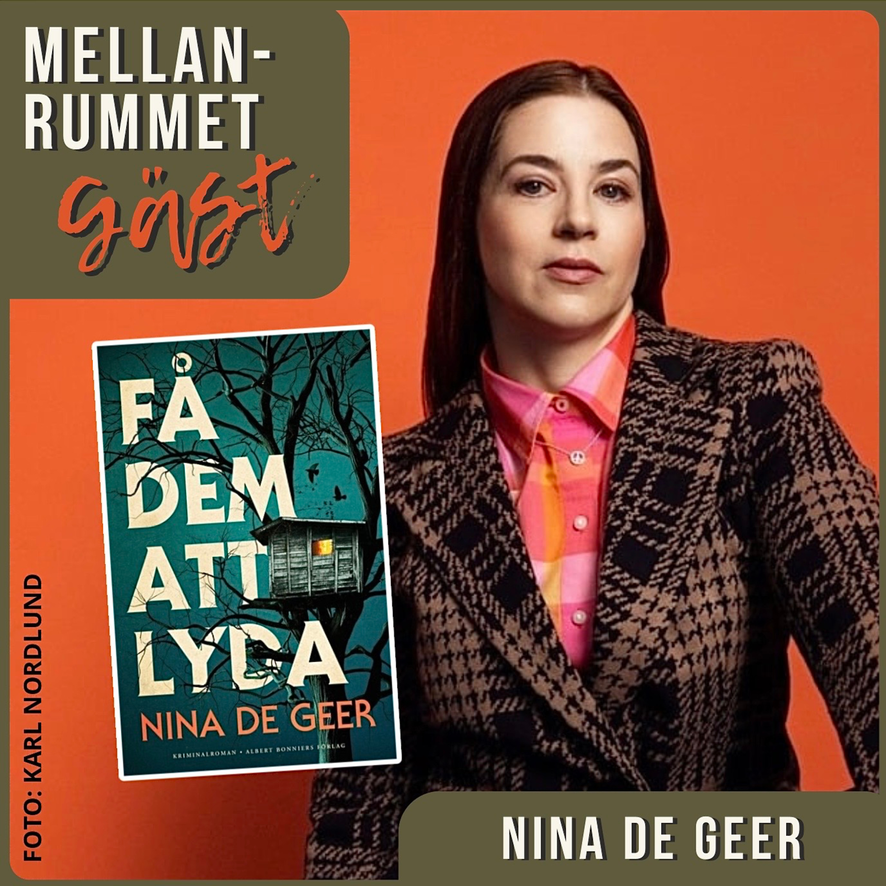 18. Kulturbarn, fördel eller nackdel? Med Nina De Geer, författare  episode artwork