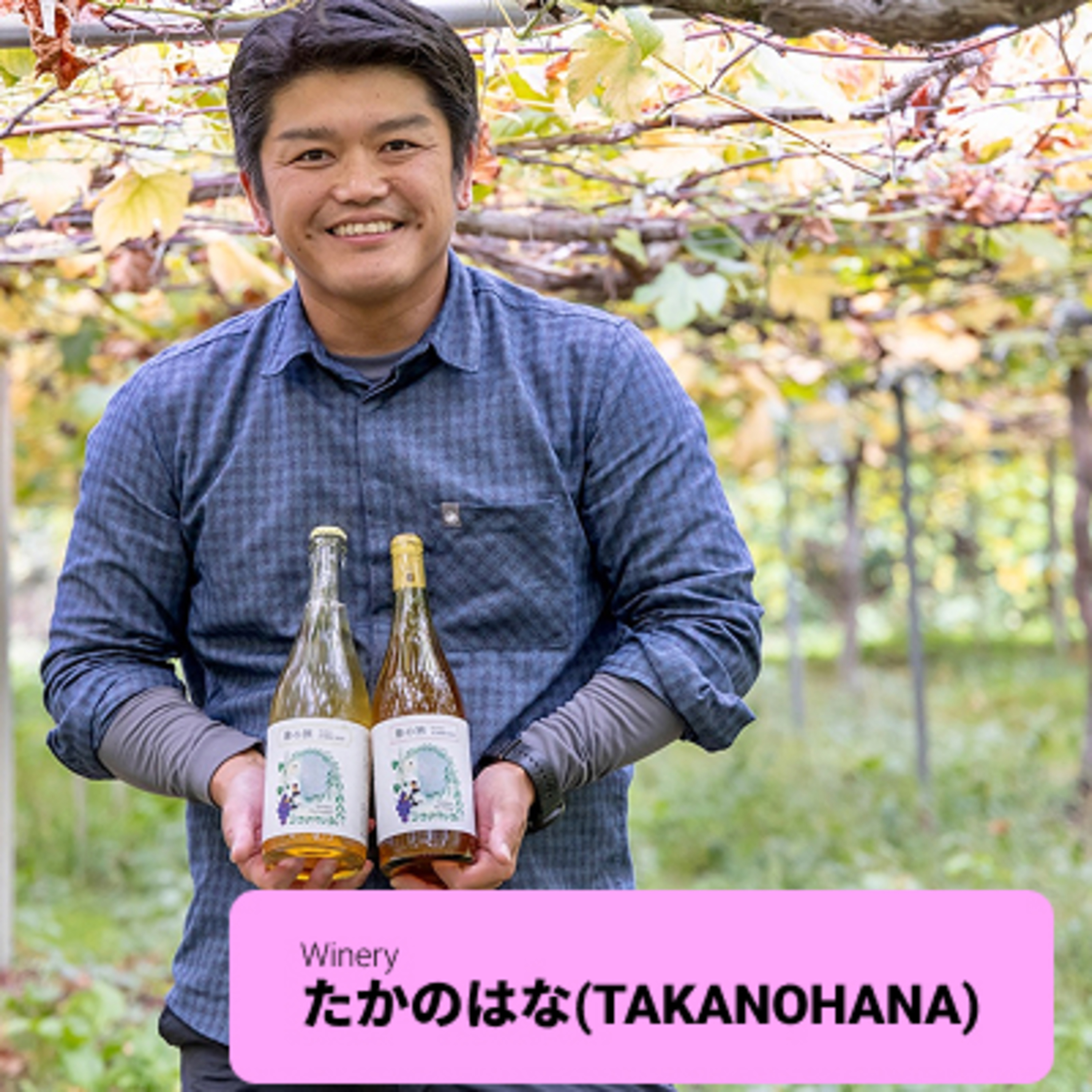 #7 【ワイン回】好奇心で軽やかに前に進む：森下孝行さん（たかのはな/TAKANOHANA） episode artwork