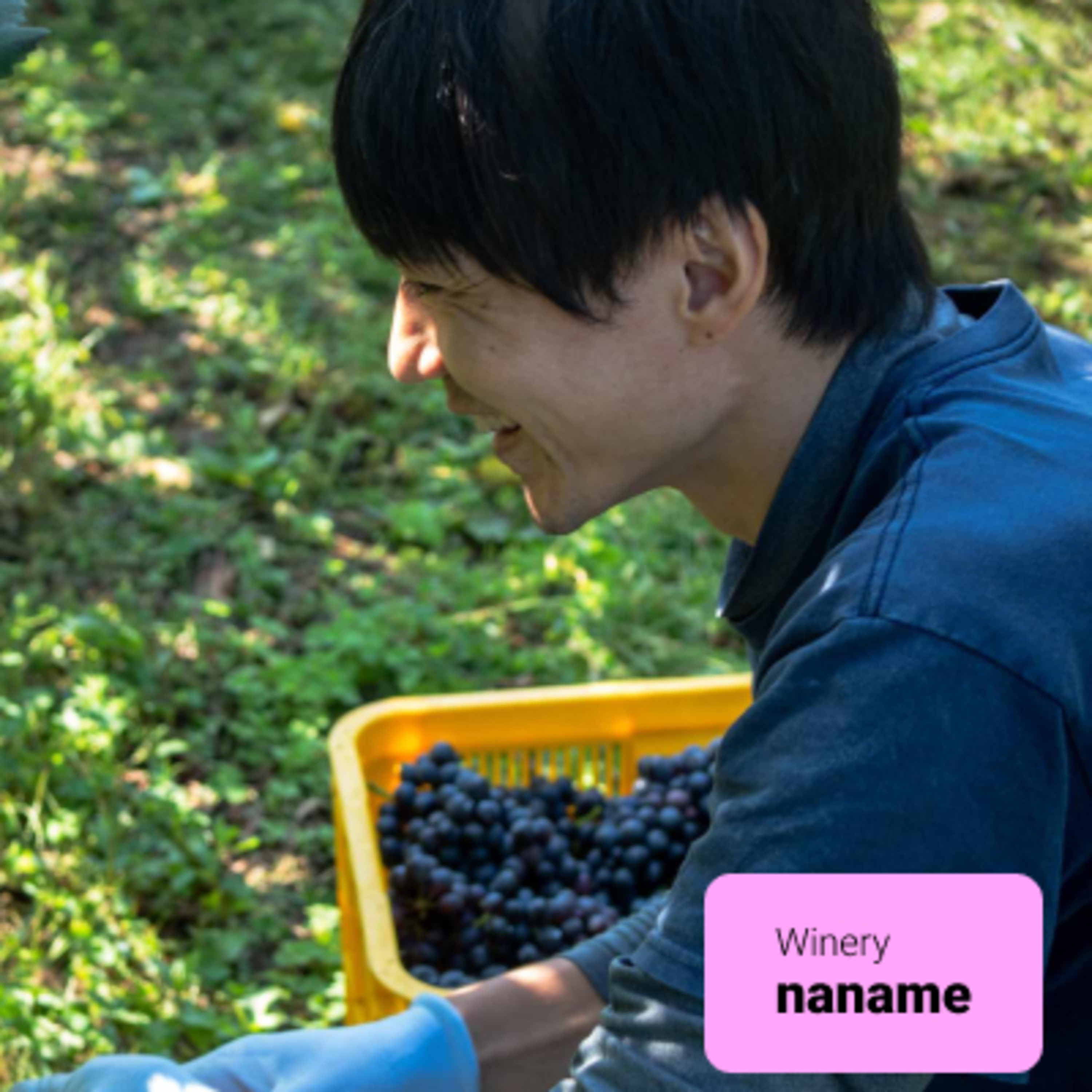 #8 【ワイン回】削らず、ポテンシャルを引き出す：山西祐輝さん（naname） episode artwork