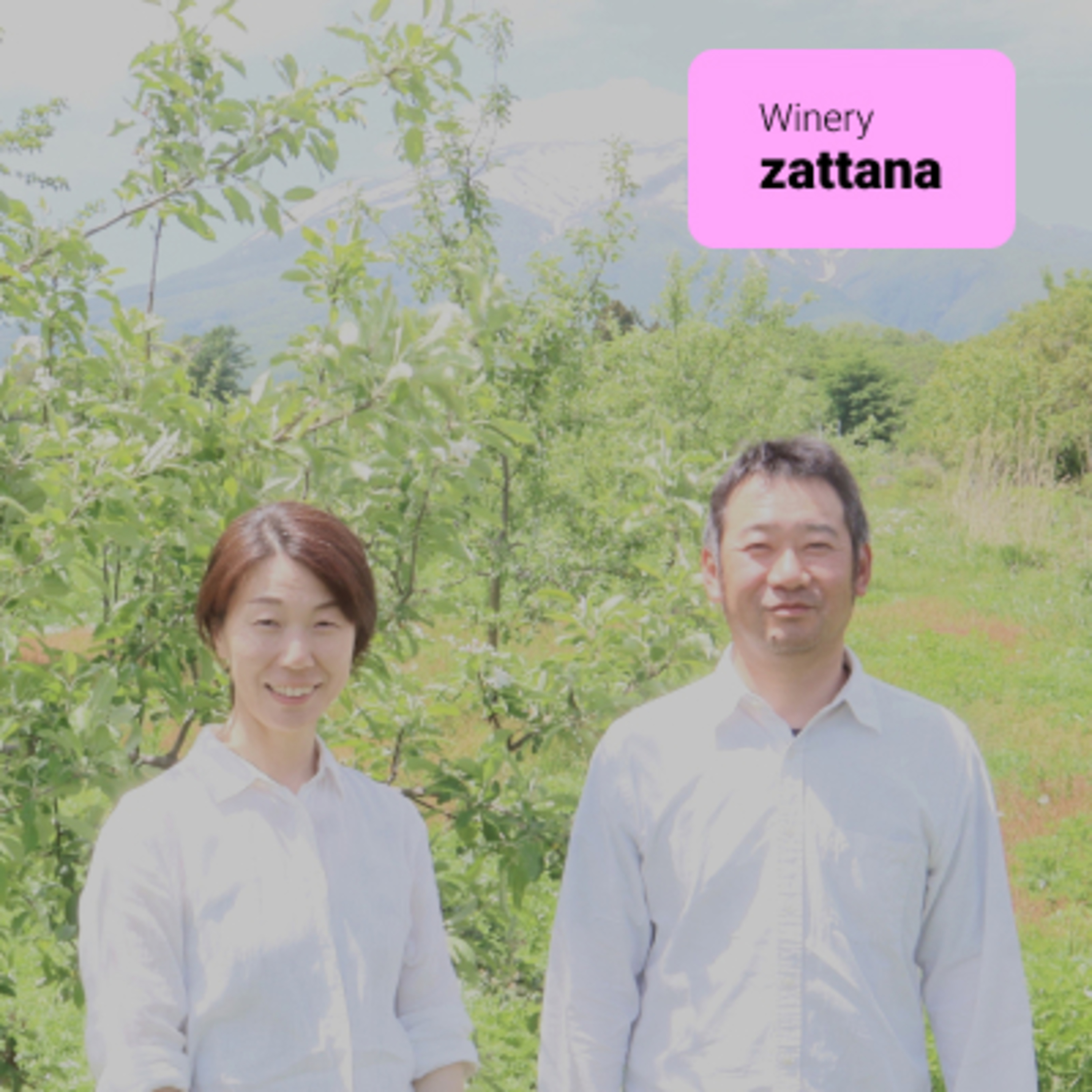 #9 【ワイン回】季節とともに仕込むシードルづくり：中村伸彦さん（zattana） episode artwork