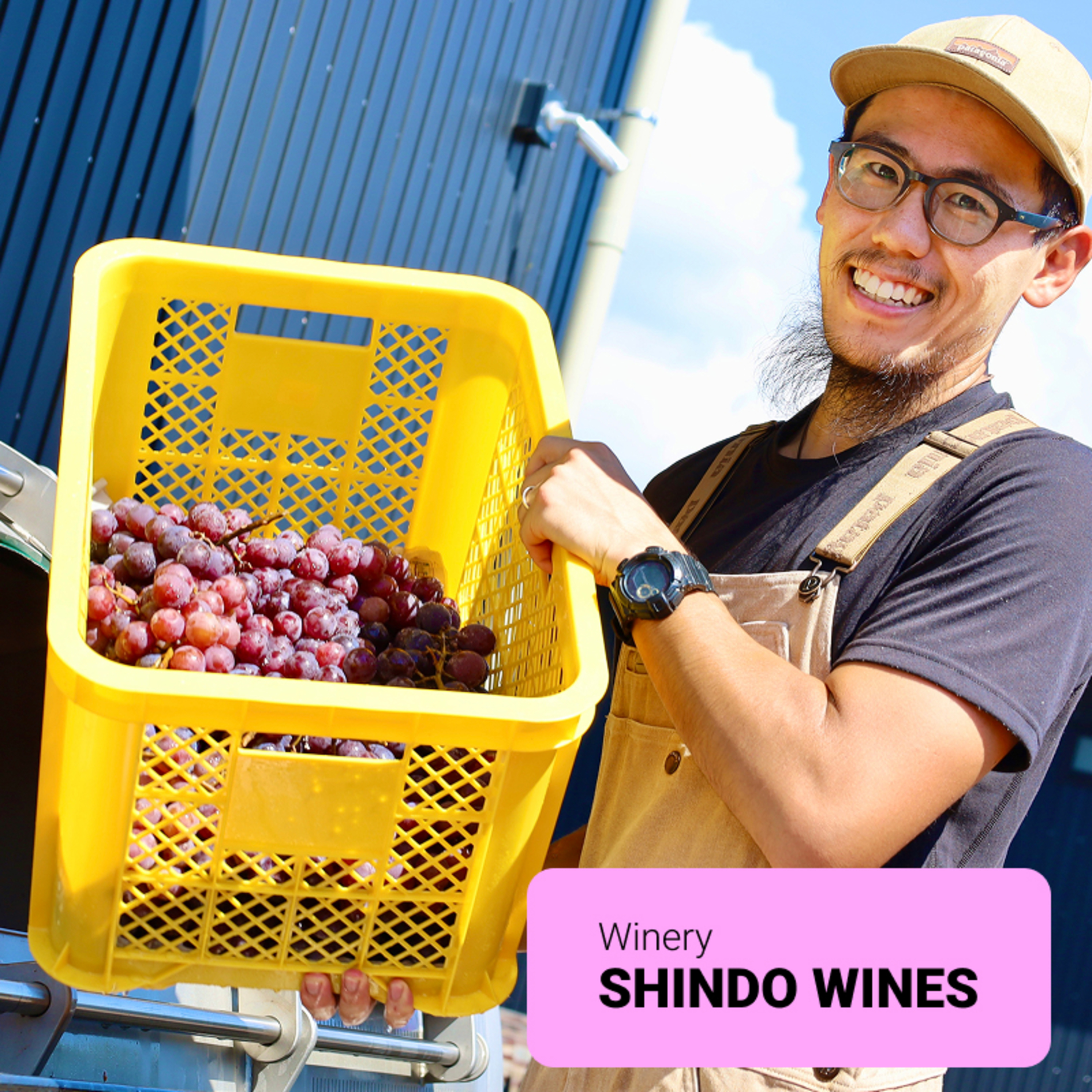 #11 【ワイン回】地域の特徴を個性に変える：阪本開さん（SHINDO WINES） episode artwork