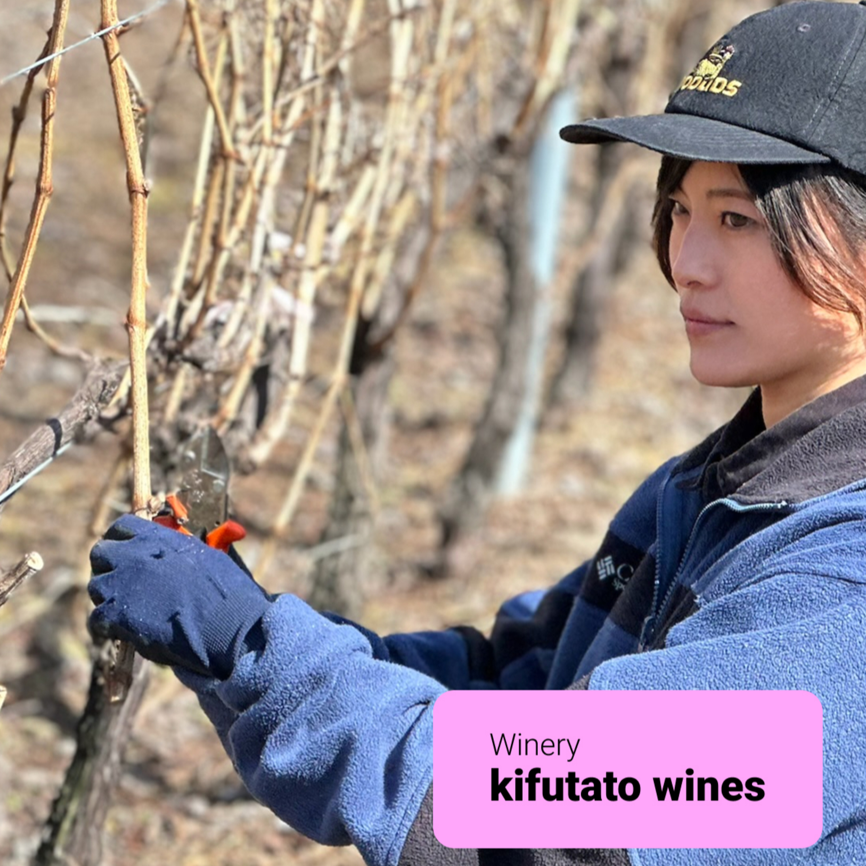 #12 【ワイン回】型にはまらない、若き醸造家の挑戦：日達桐子さん（kifutato wines） episode artwork