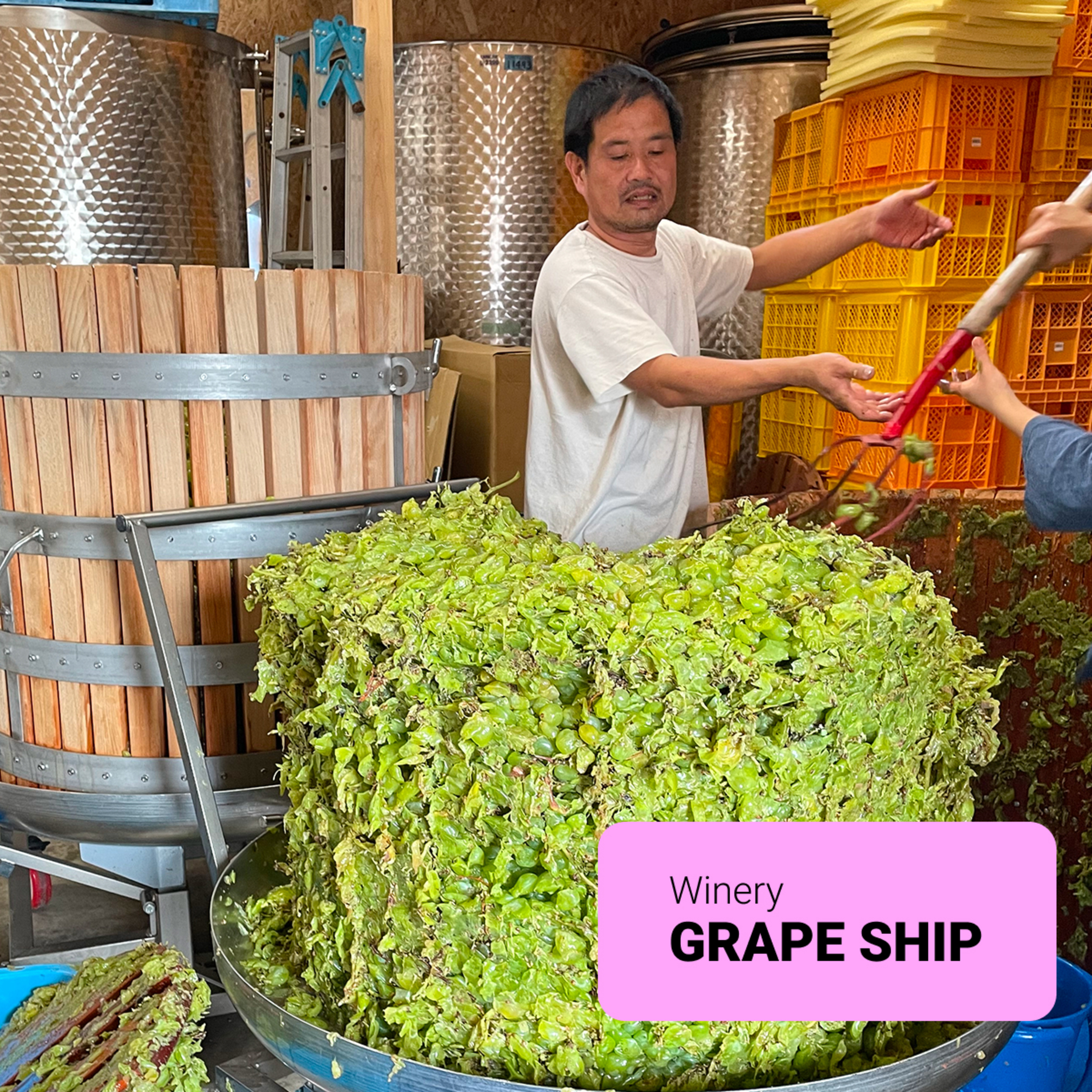 #14 【ワイン回】自分に嘘をつかない、無理をしない：松井一智さん（GRAPE SHIP） episode artwork