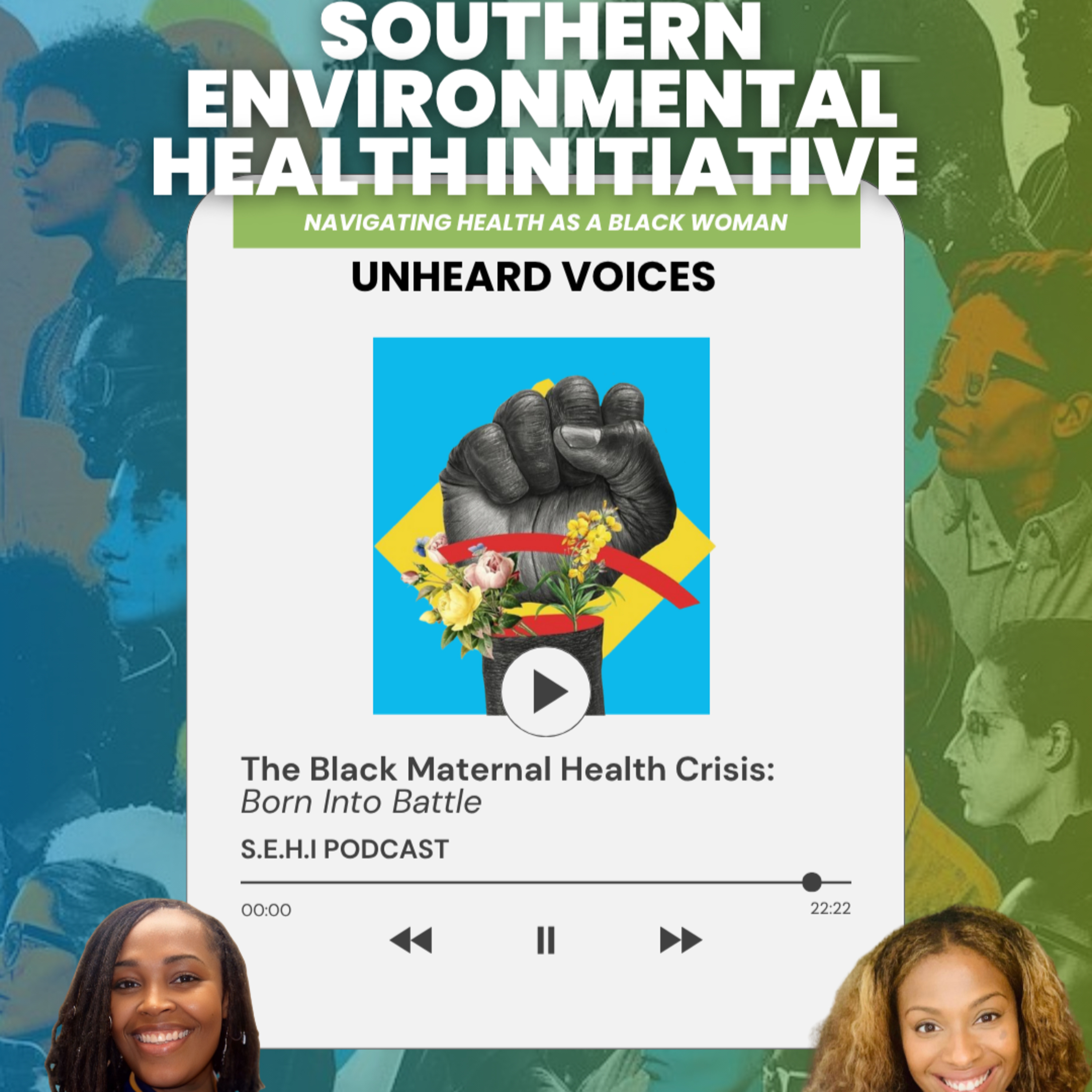 The Black Maternal Health Crisis: Stories of Survival and Resistance episode artwork
