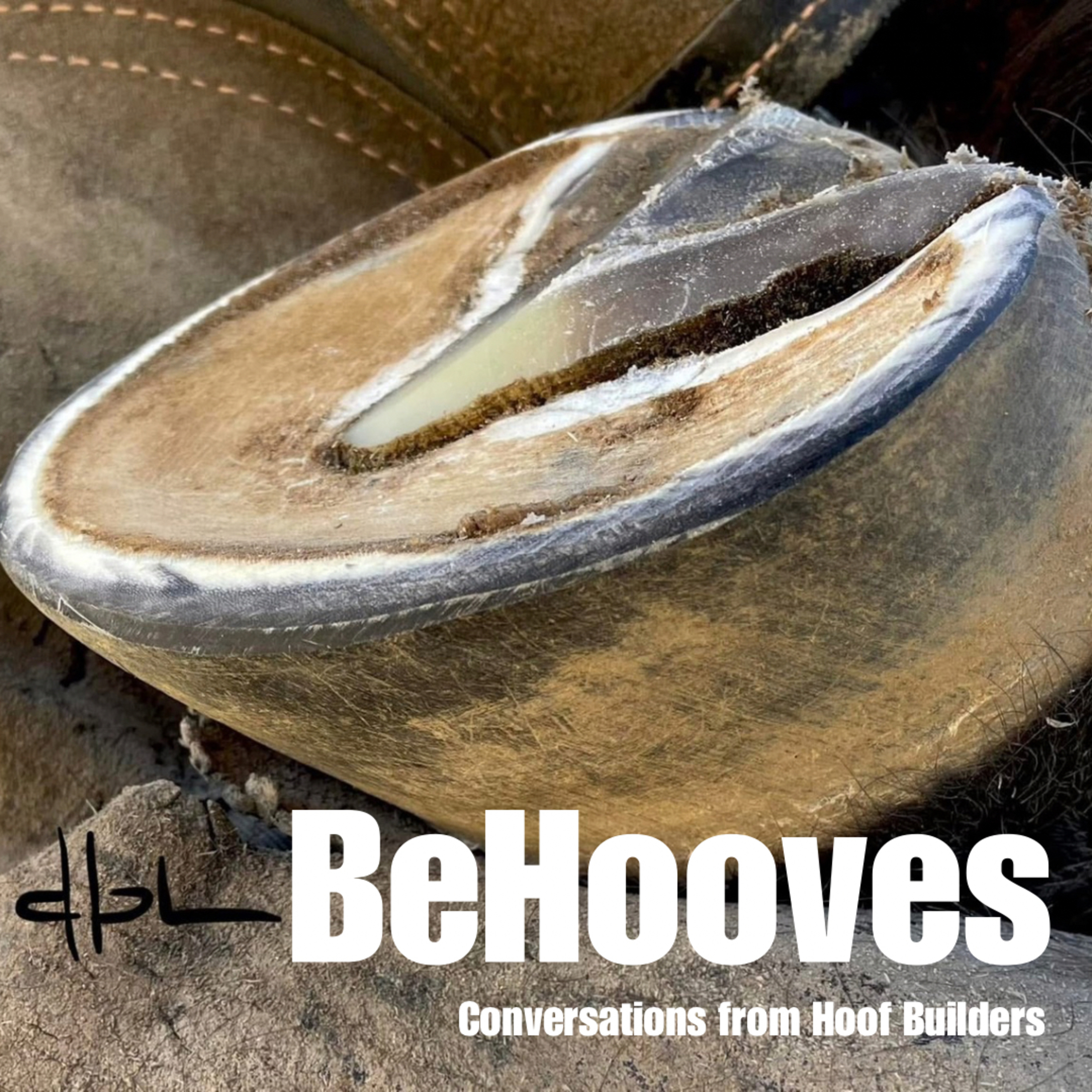 The Long and Short of Rebuilding Hooves episode artwork