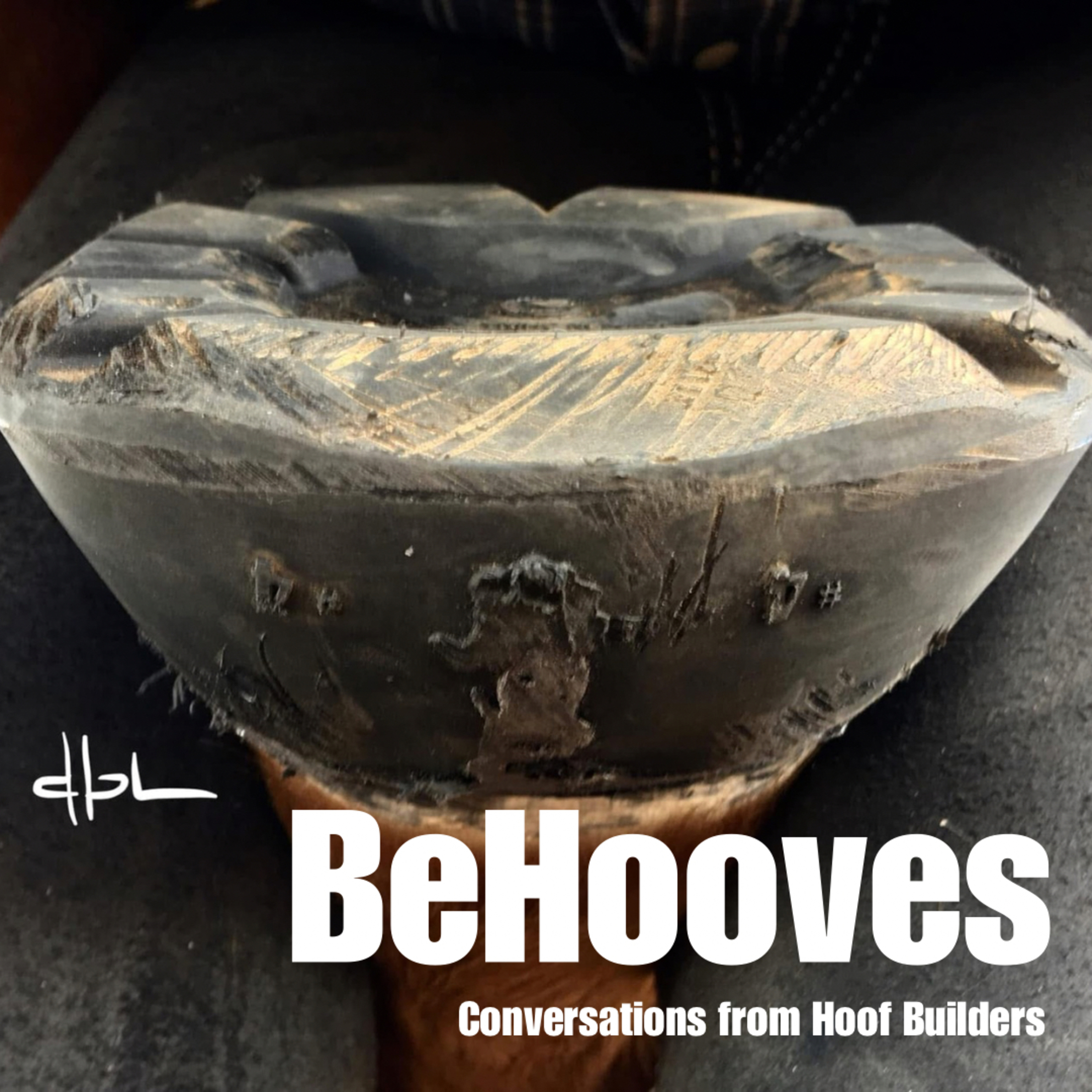 The Role of Hoof Boots and Glue Ons in Rehab  episode artwork