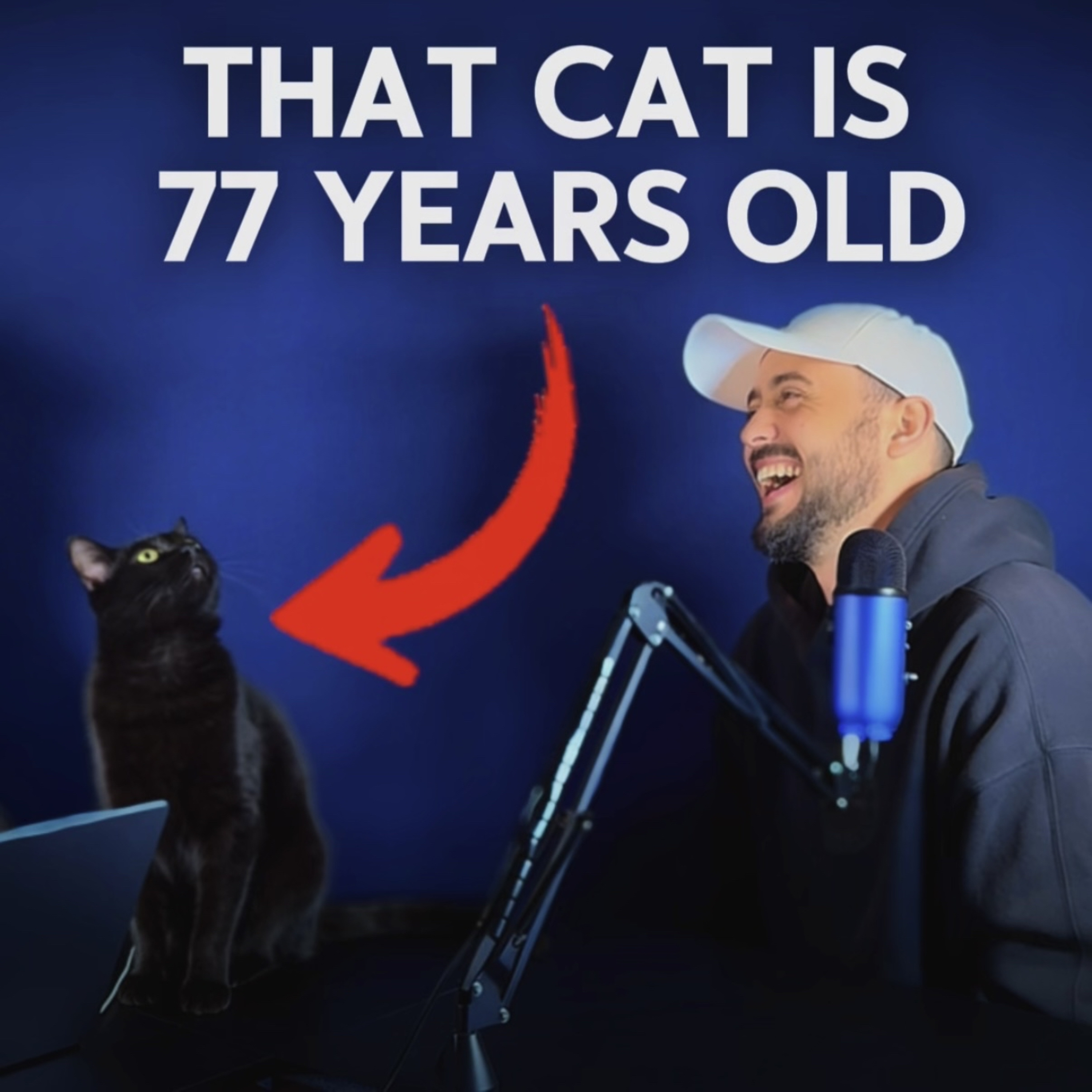 The world’s oldest cat & why it’s so SCARY  episode artwork