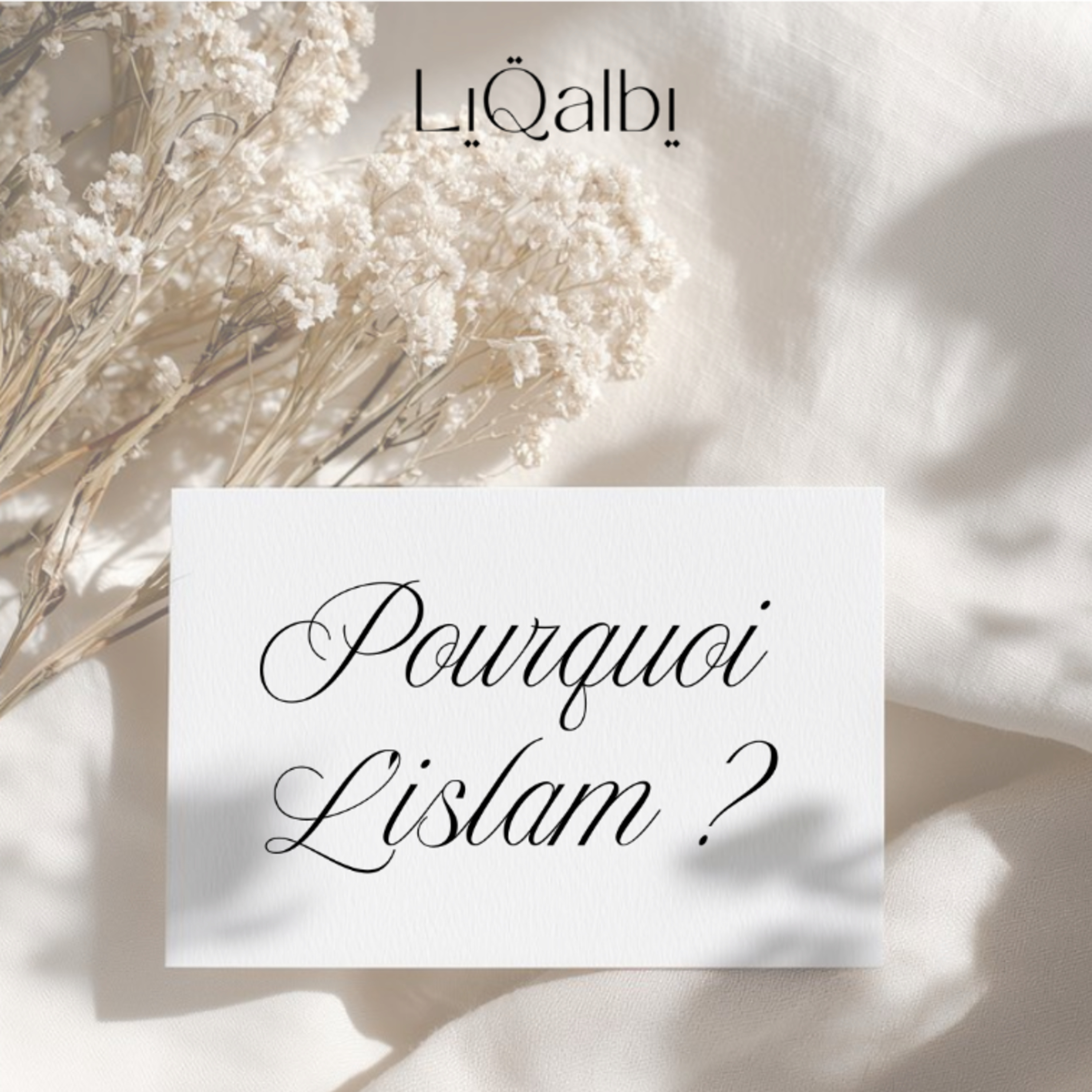 Pourquoi L'islam ?