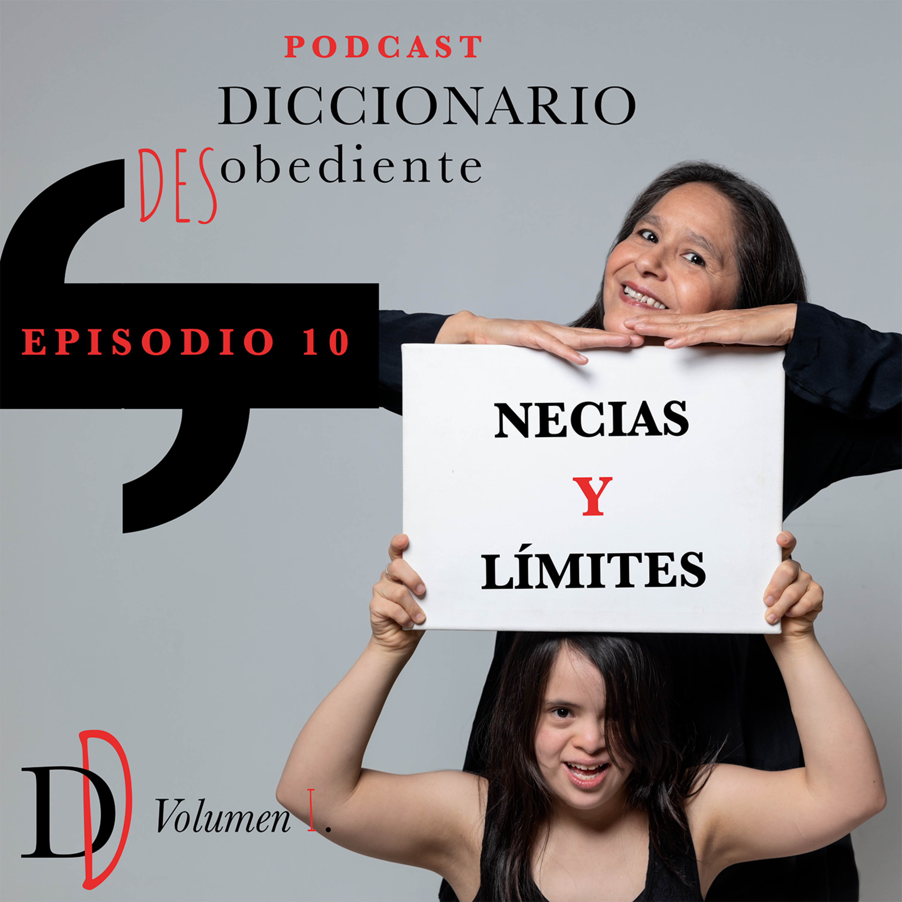 Diccionario Desobediente