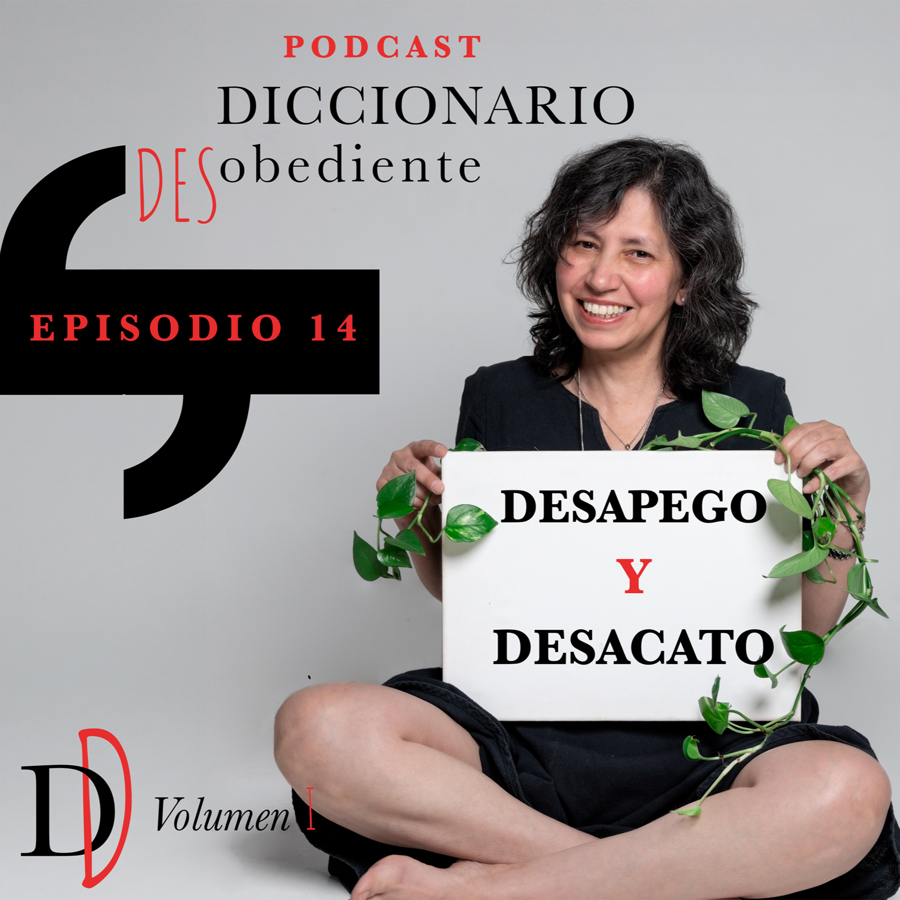Diccionario Desobediente