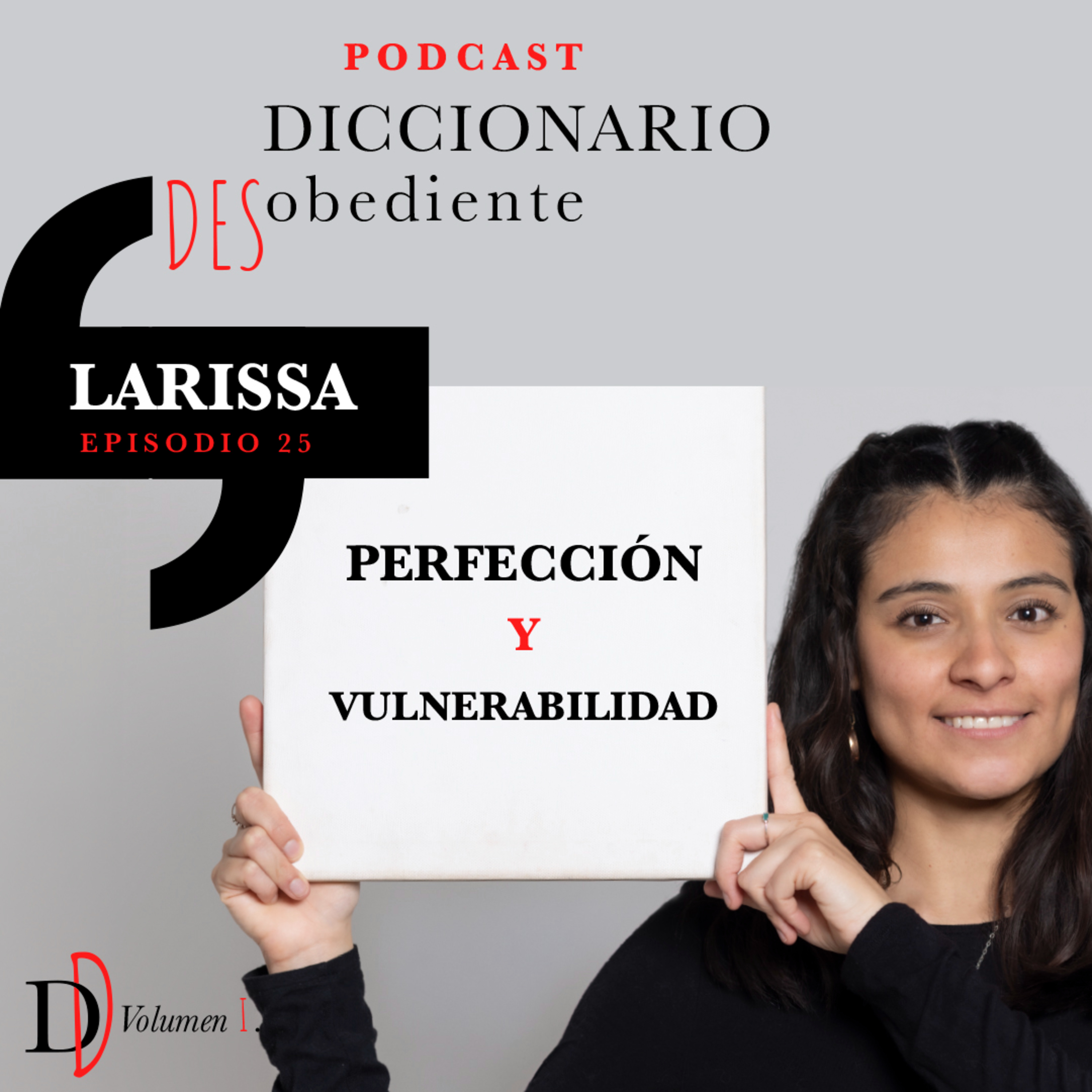 Portada de Diccionario Desobediente