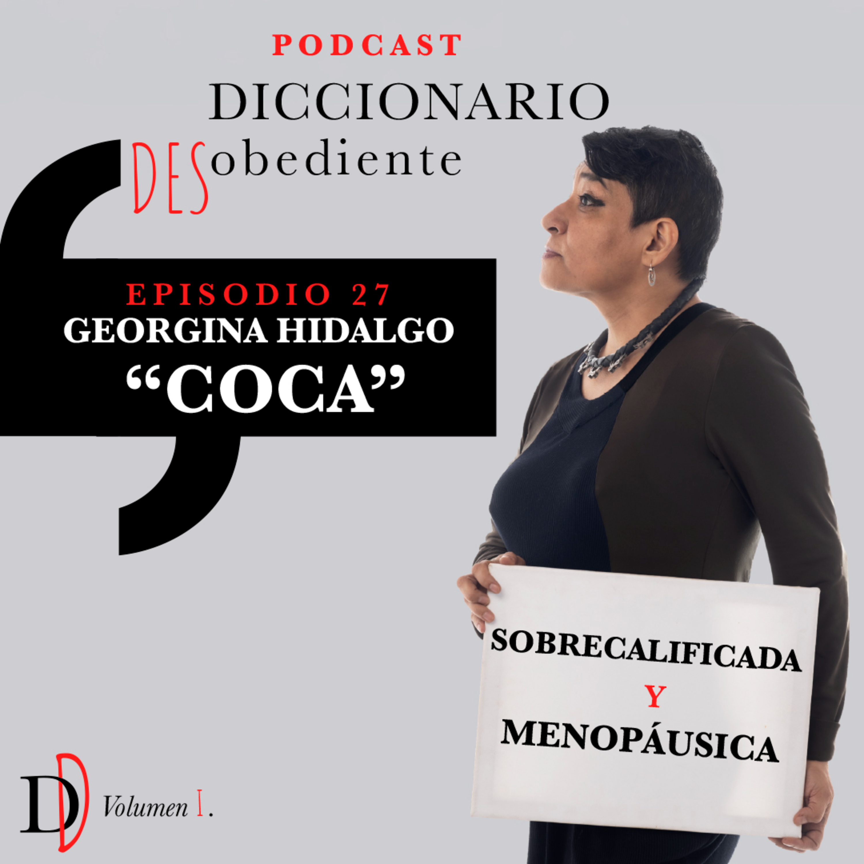 Portada de Diccionario Desobediente