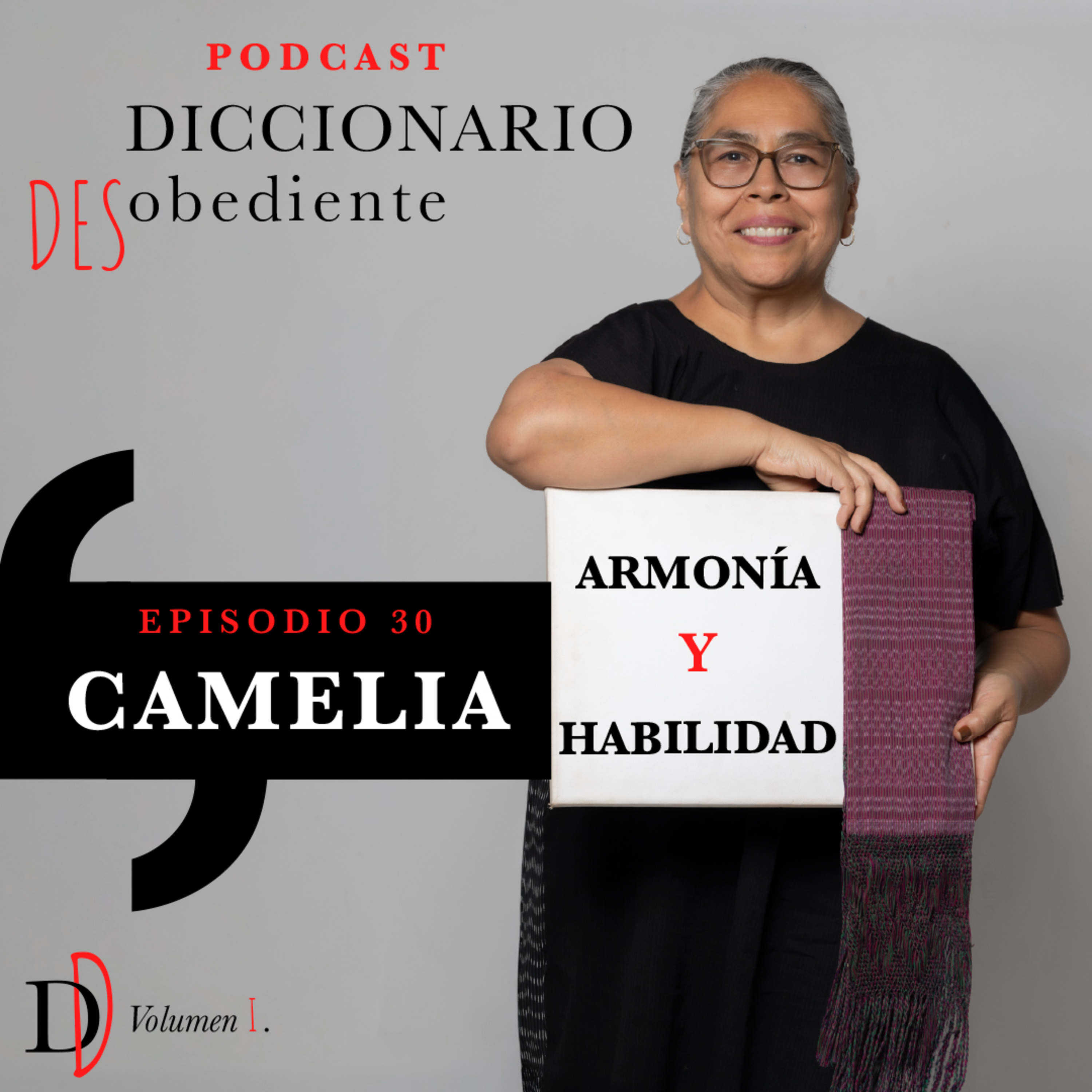 Portada de Diccionario Desobediente