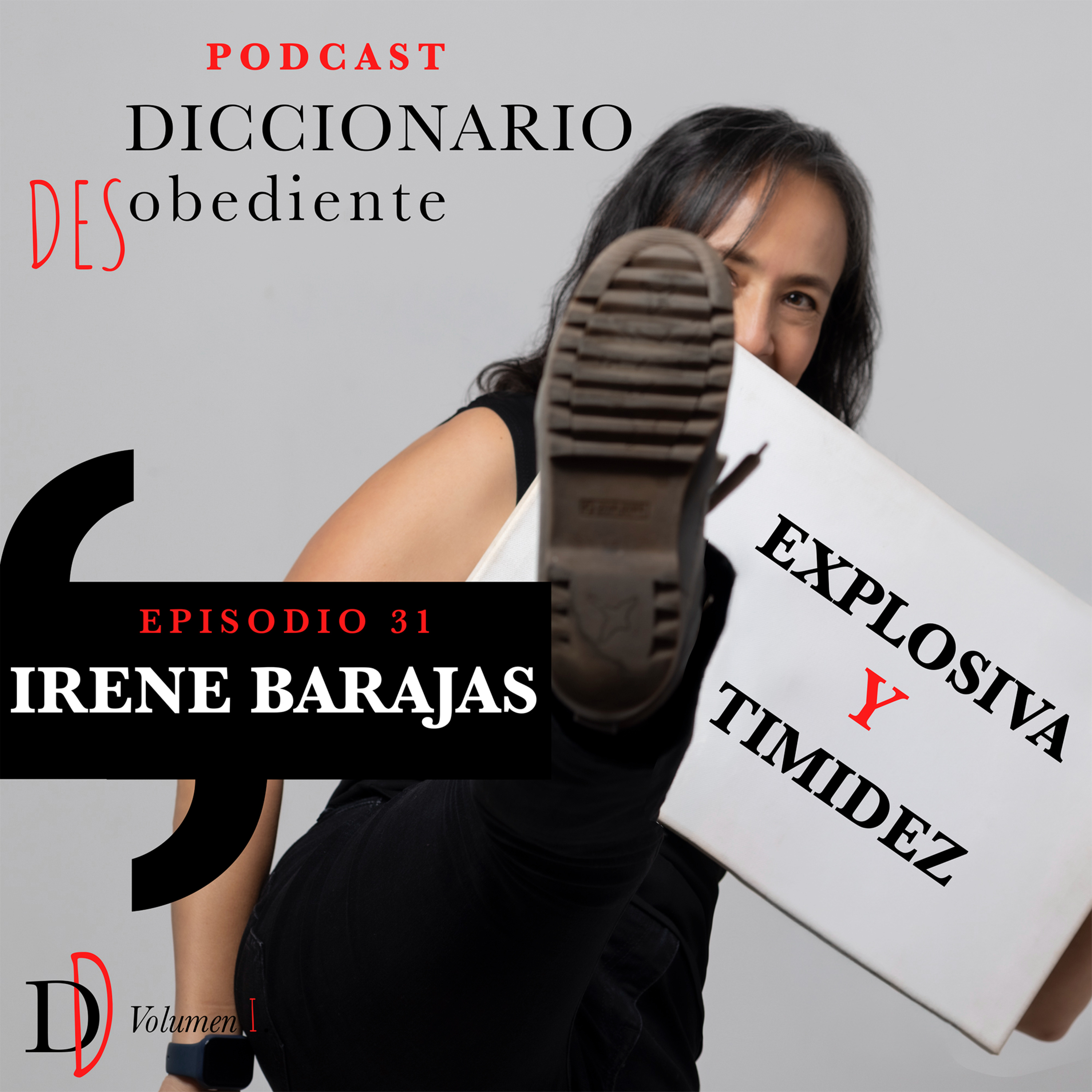 Portada de Diccionario Desobediente