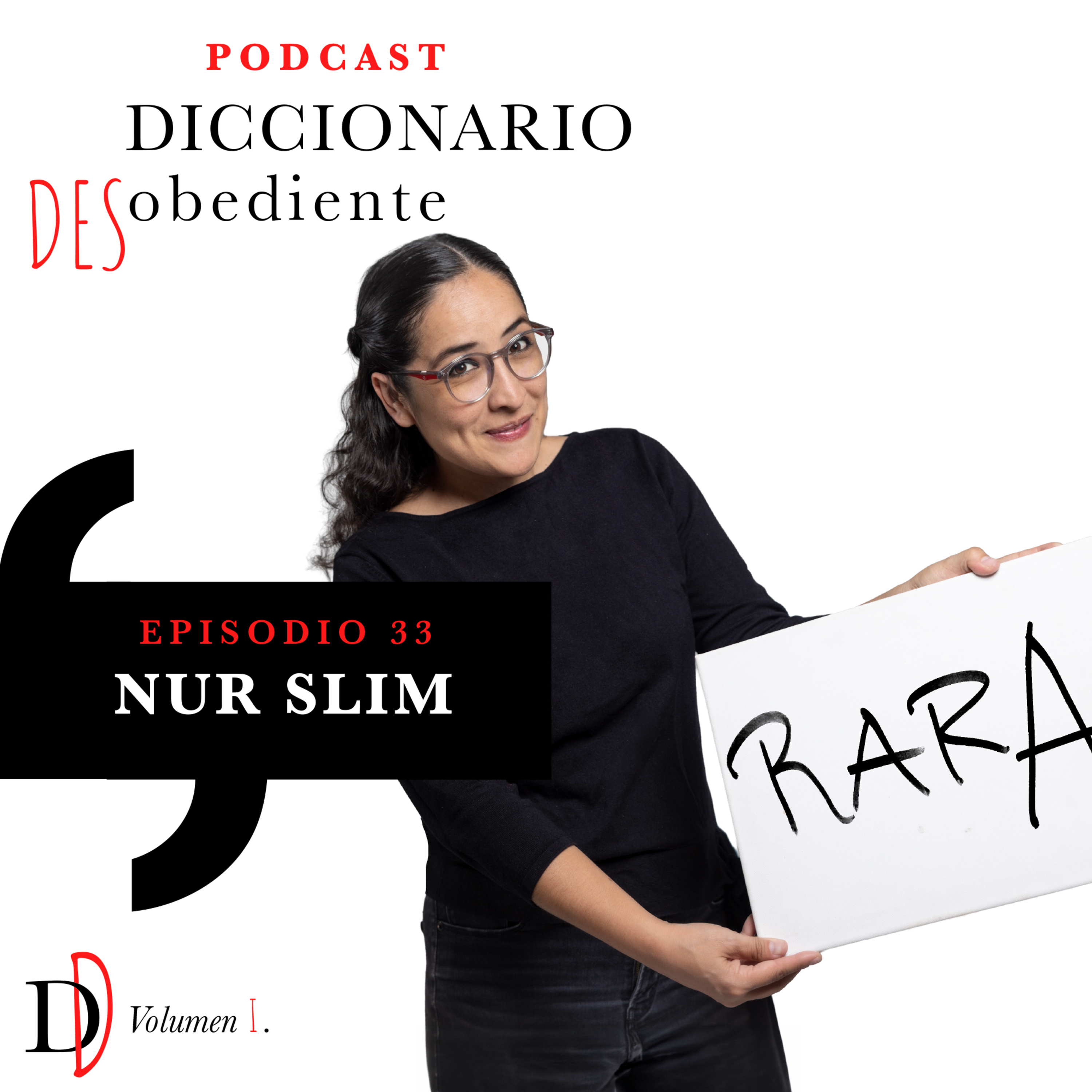 Portada de Diccionario Desobediente