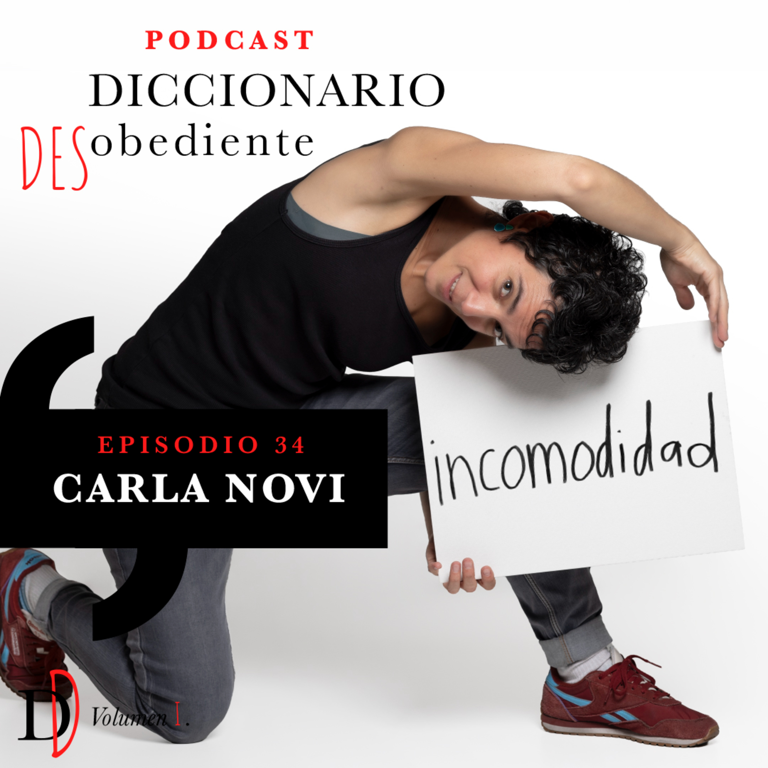 Portada de Diccionario Desobediente