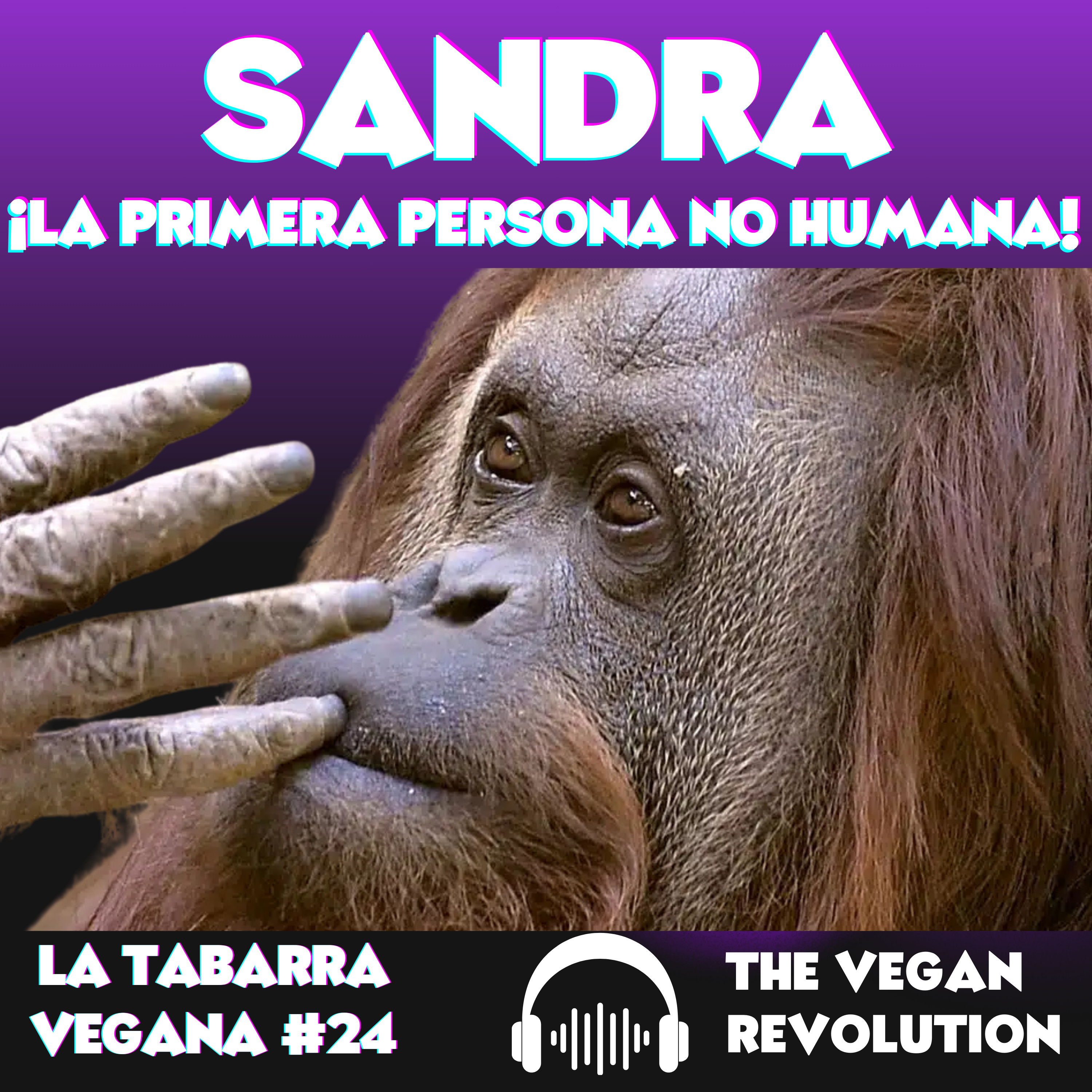 Sandra ¡La Primera Persona No Humana! episode artwork