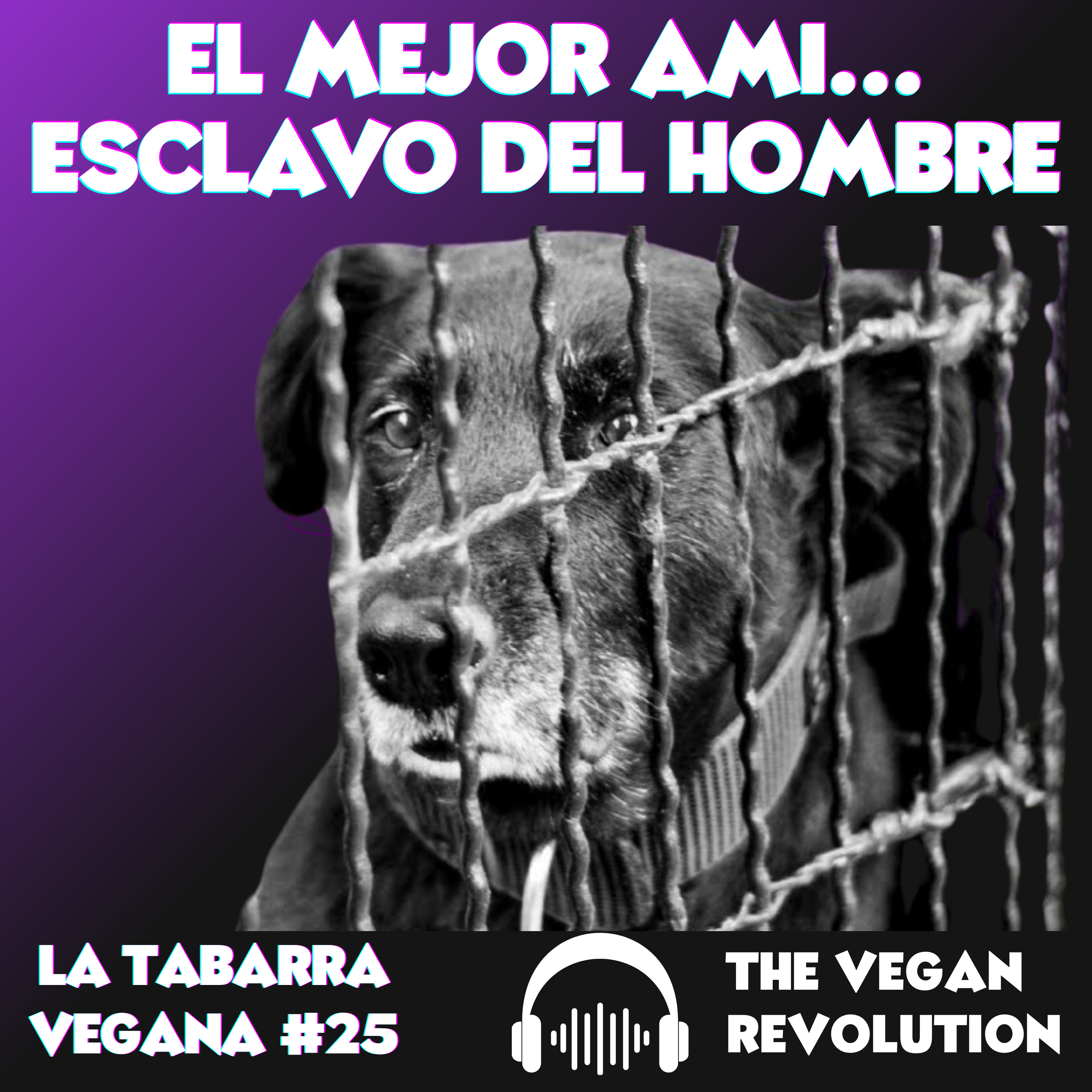El Mejor Ami... Esclavo del Hombre episode artwork