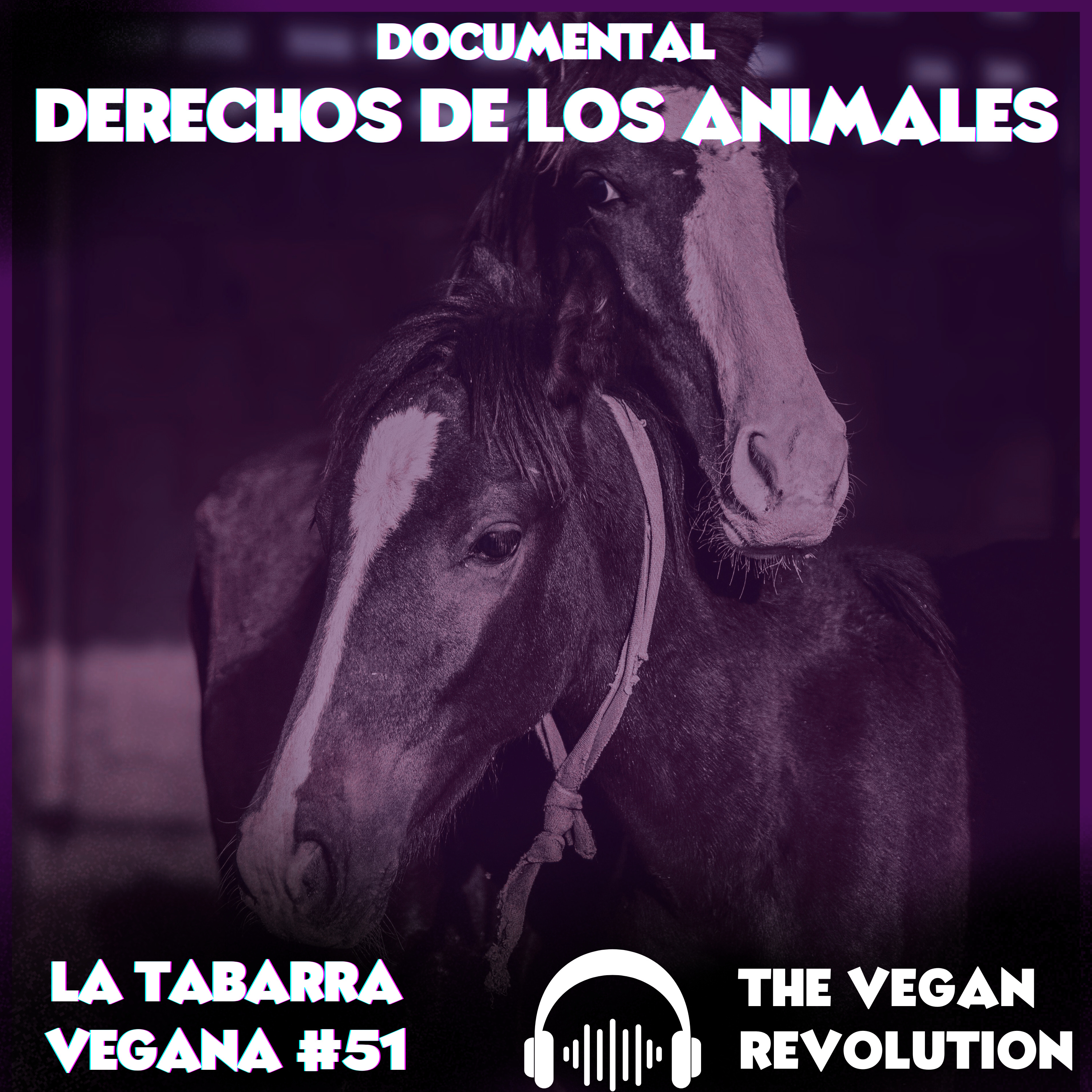 Documental. Derechos de los Animales episode artwork