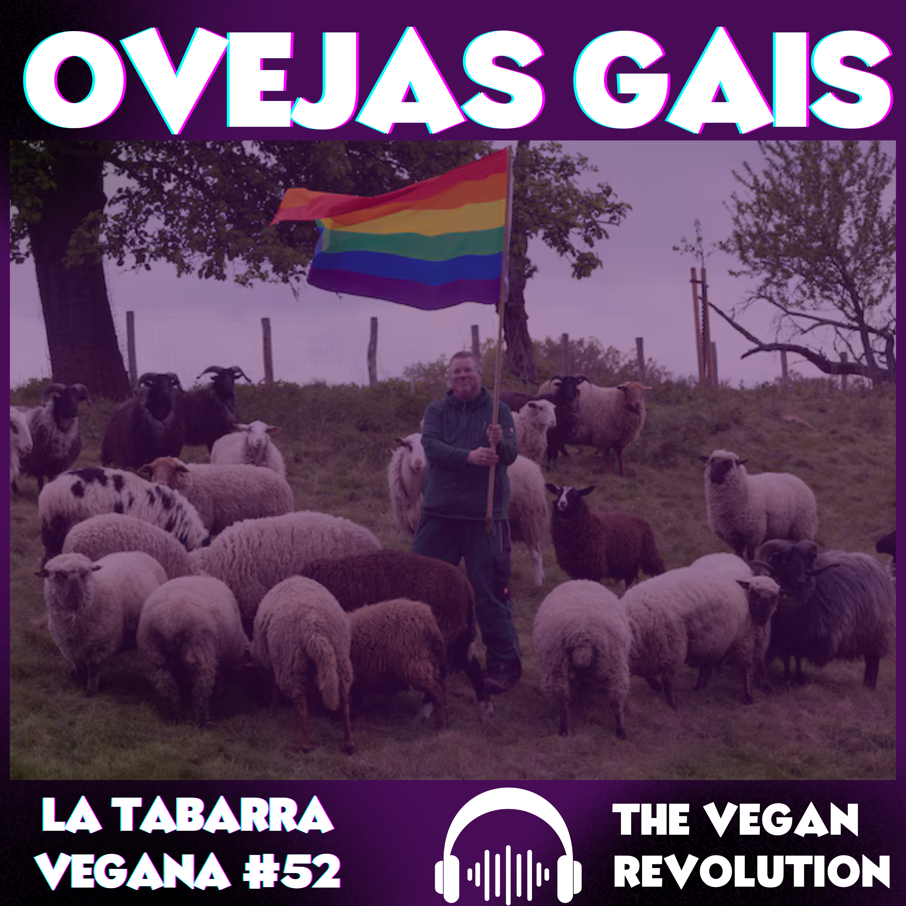 Ovejas gais episode artwork