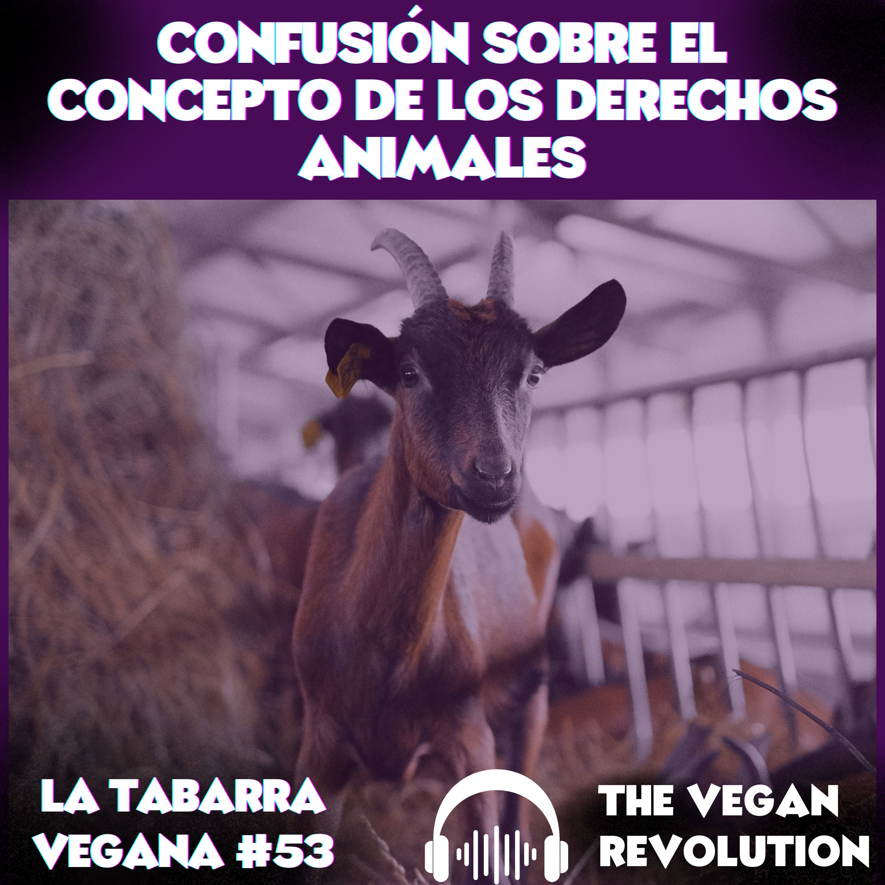 Confusión sobre el concepto de Los Derechos Animales episode artwork