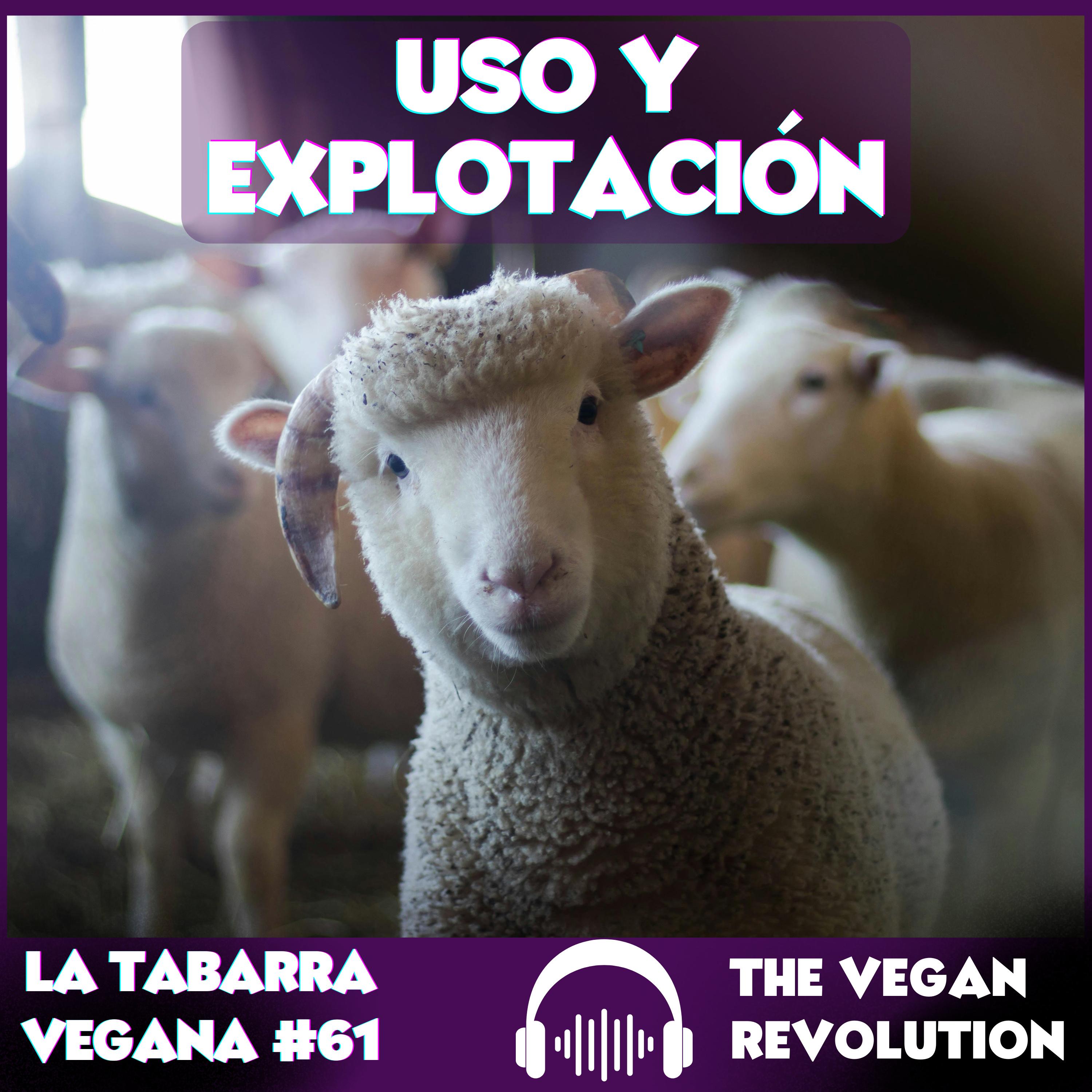 Uso y Explotación episode artwork
