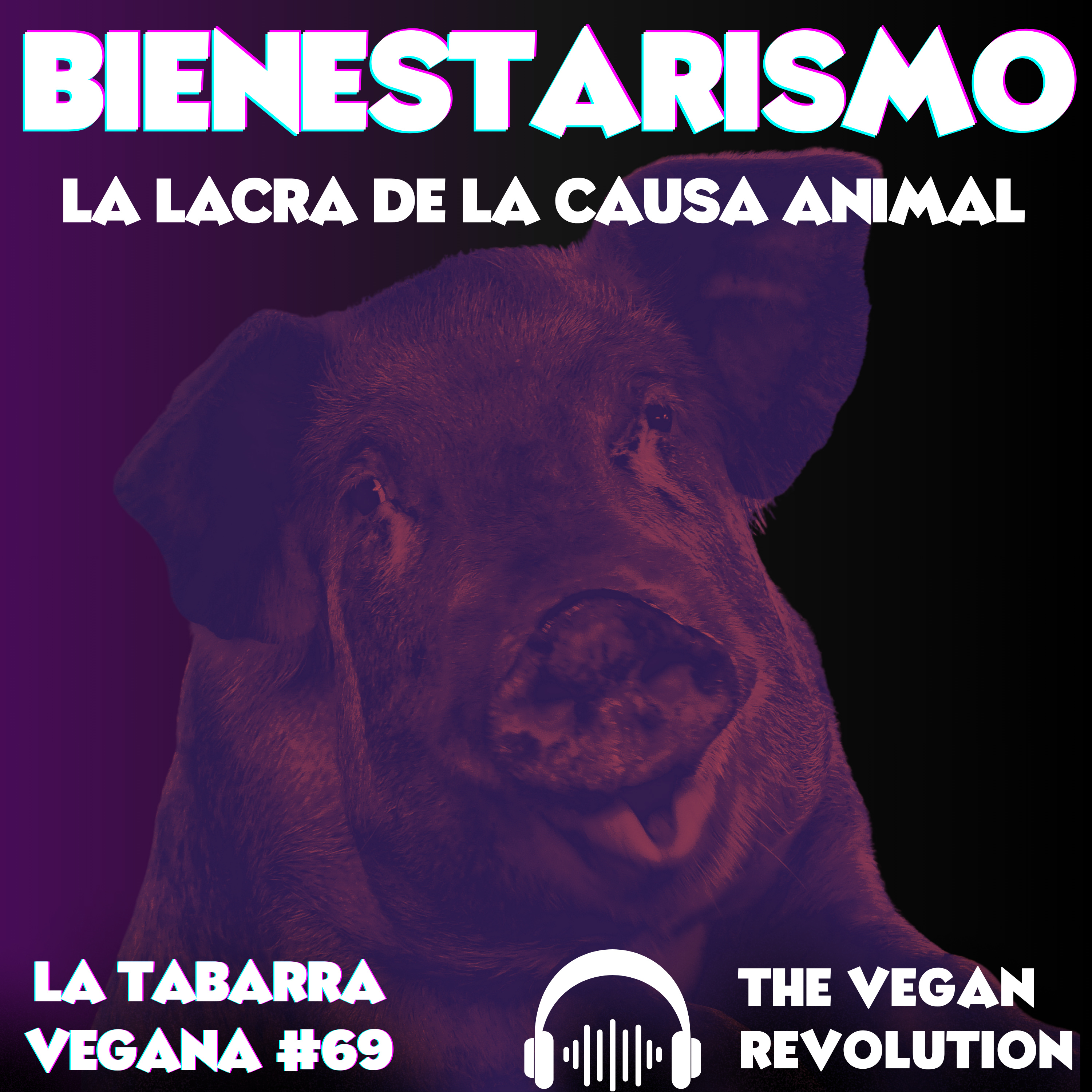 Bienestarismo: La Lacra de la Causa Animal episode artwork