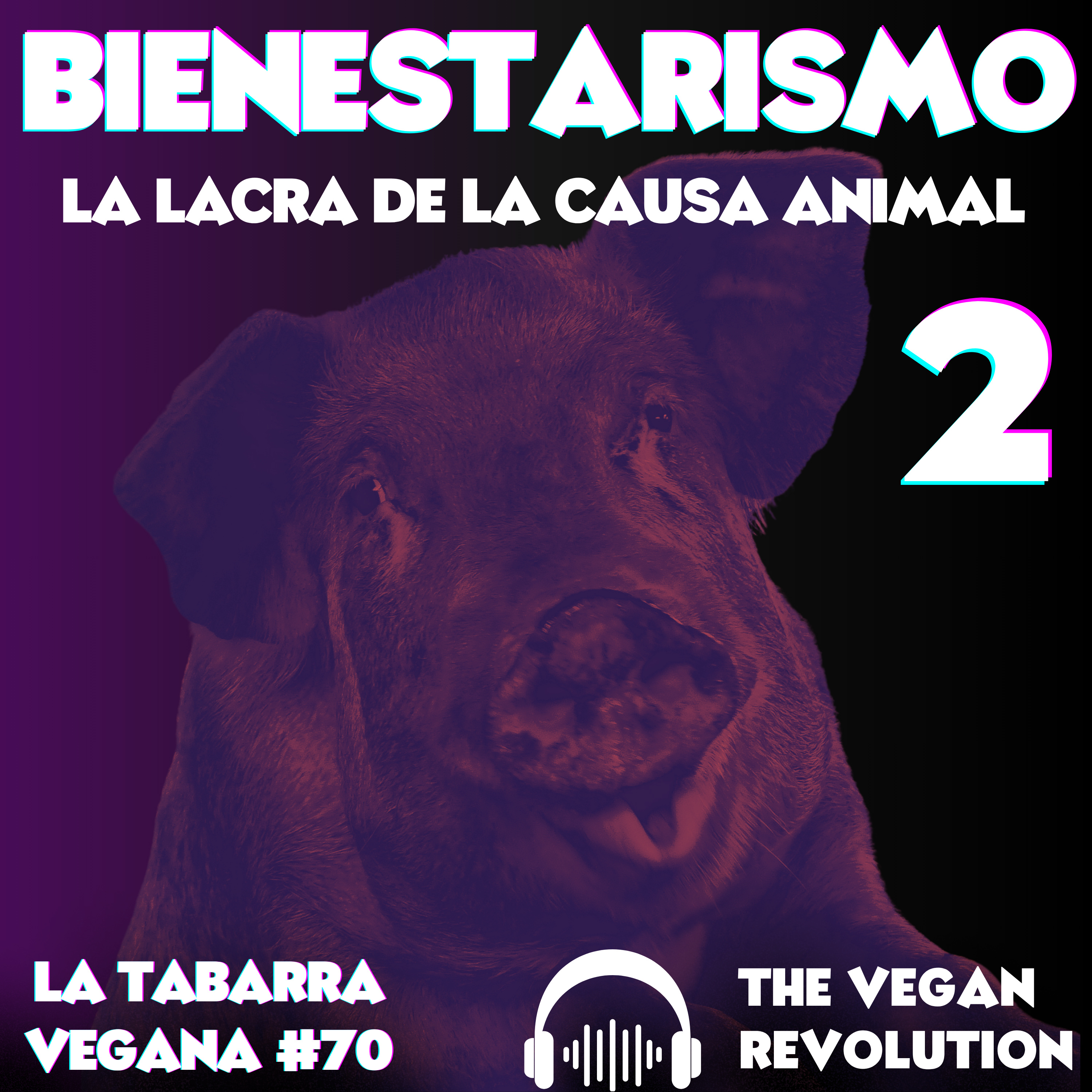 Bienestarismo: La Lacra de la Causa Animal 2 episode artwork