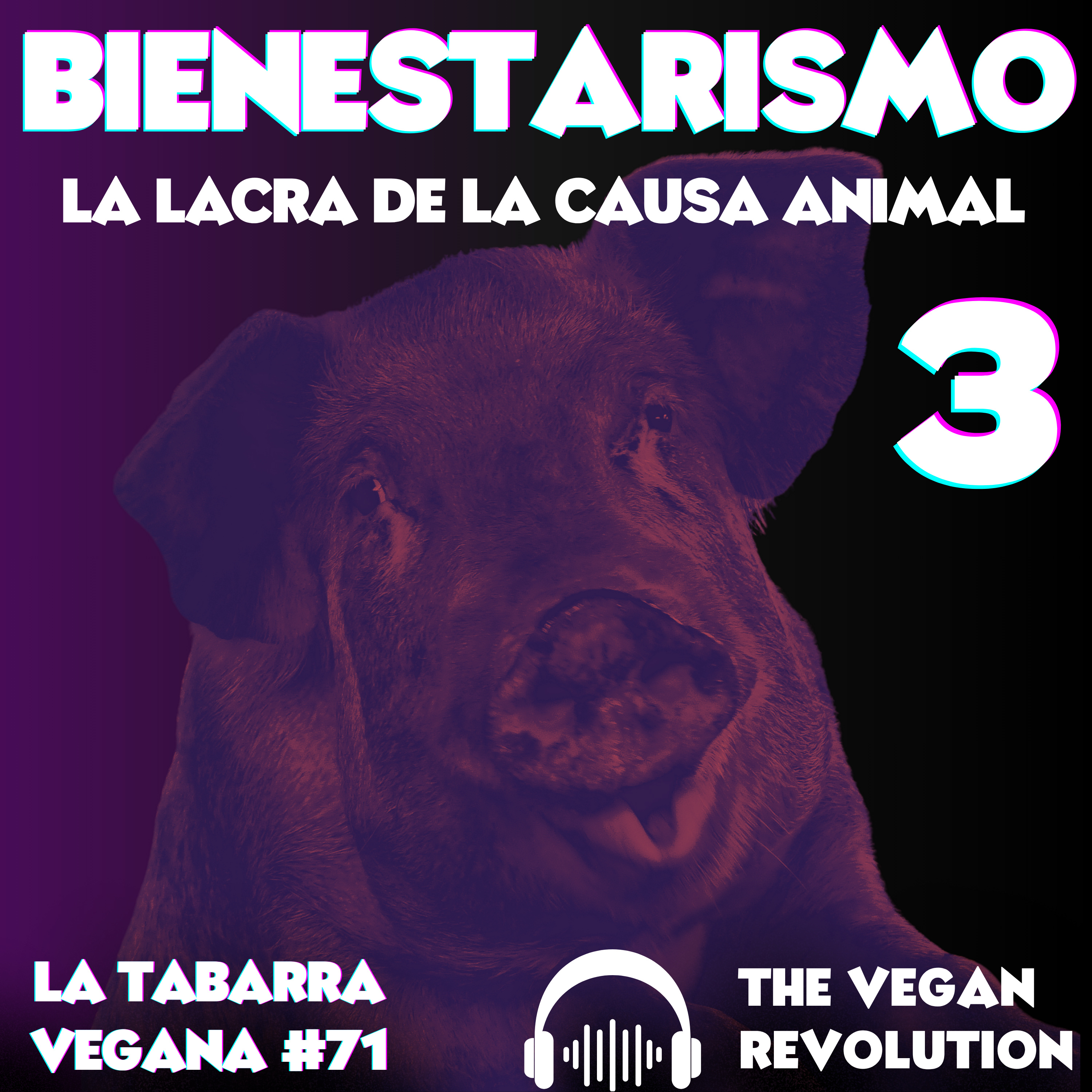 Bienestarismo: La Lacra de la Causa Animal 3 episode artwork