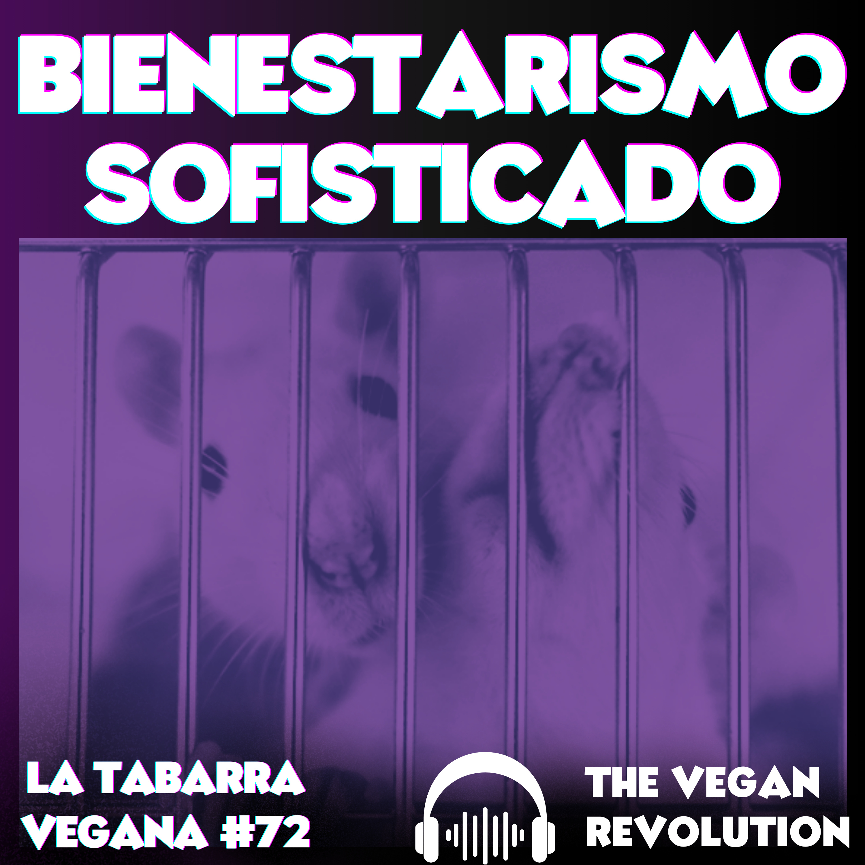 Bienestarismo Sofisticado episode artwork