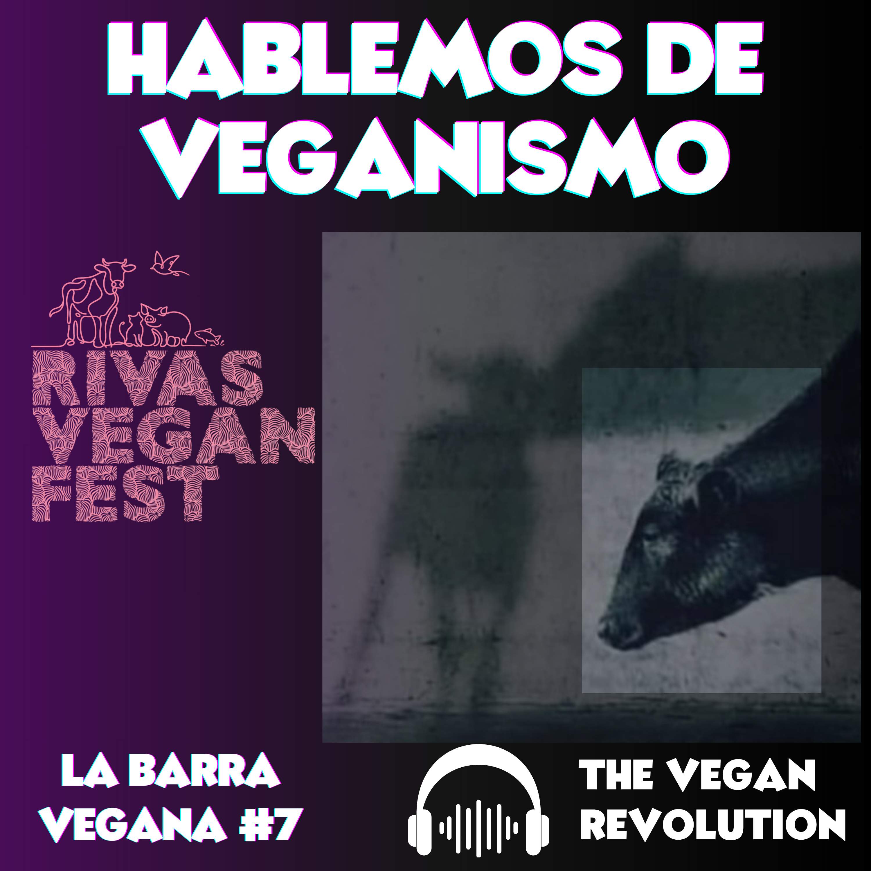 Hablemos de Veganismo episode artwork