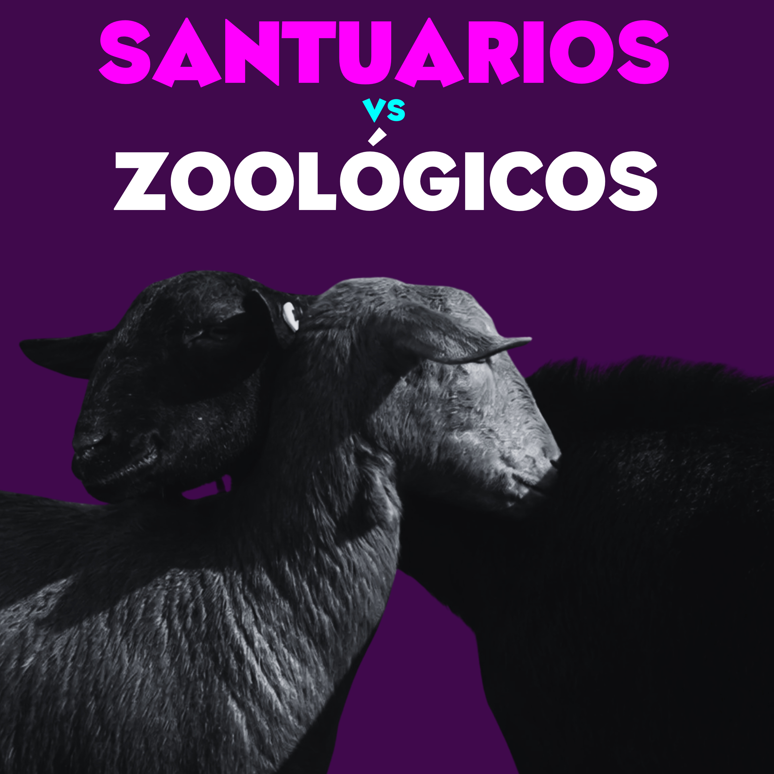 Portada de The Vegan Revolution