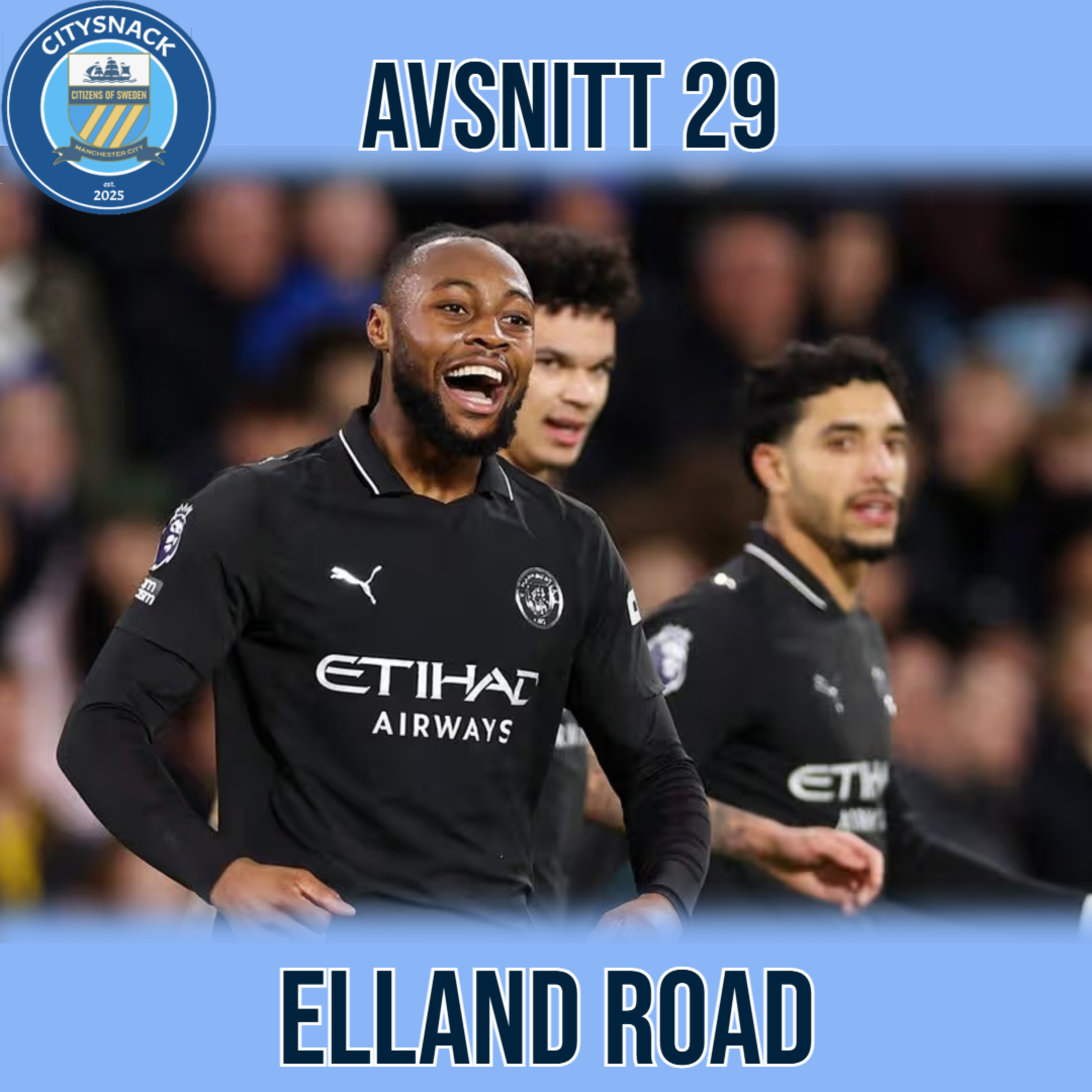 #29 - Elland Road episode artwork