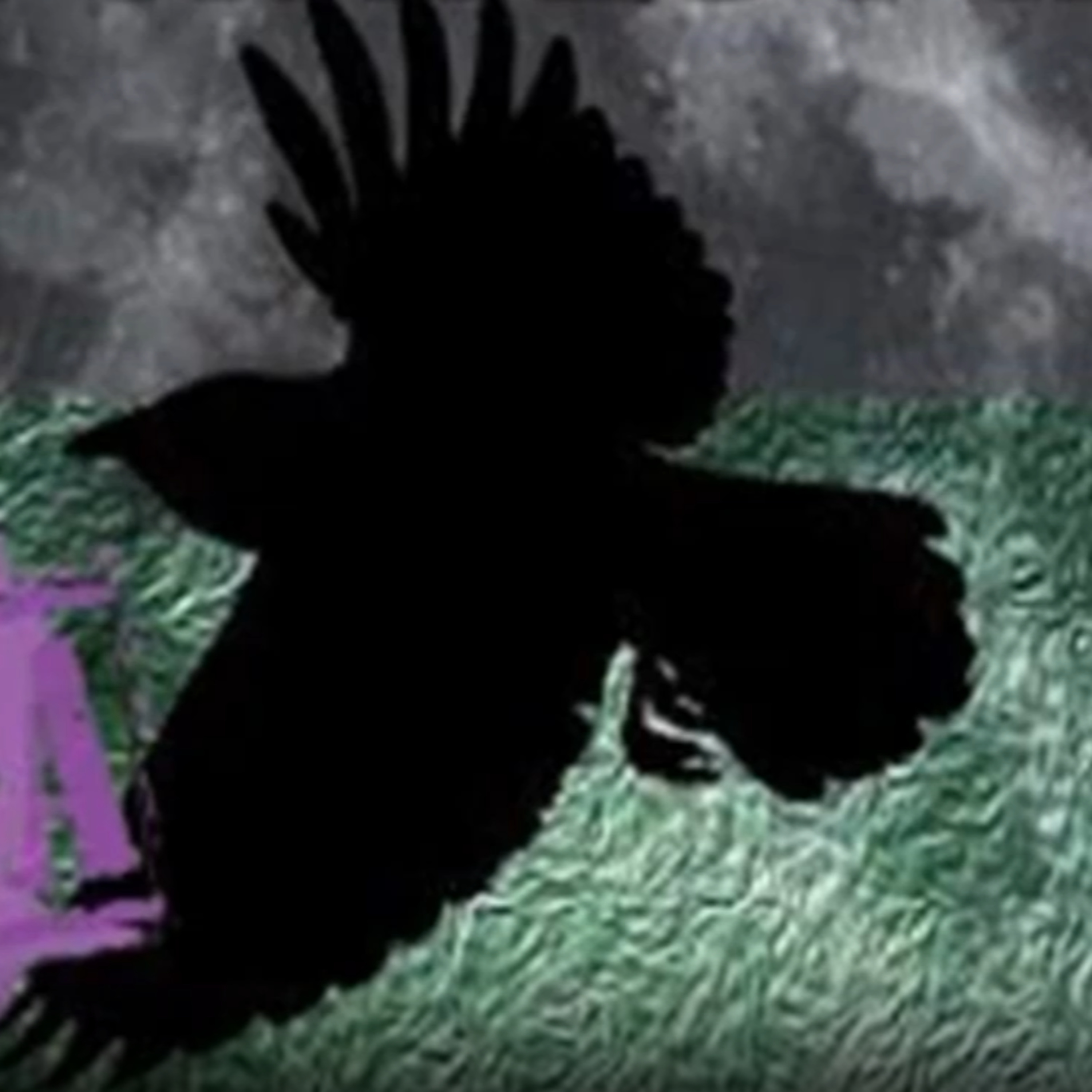 Lunar Waves and Chemtrails | Crrow777
