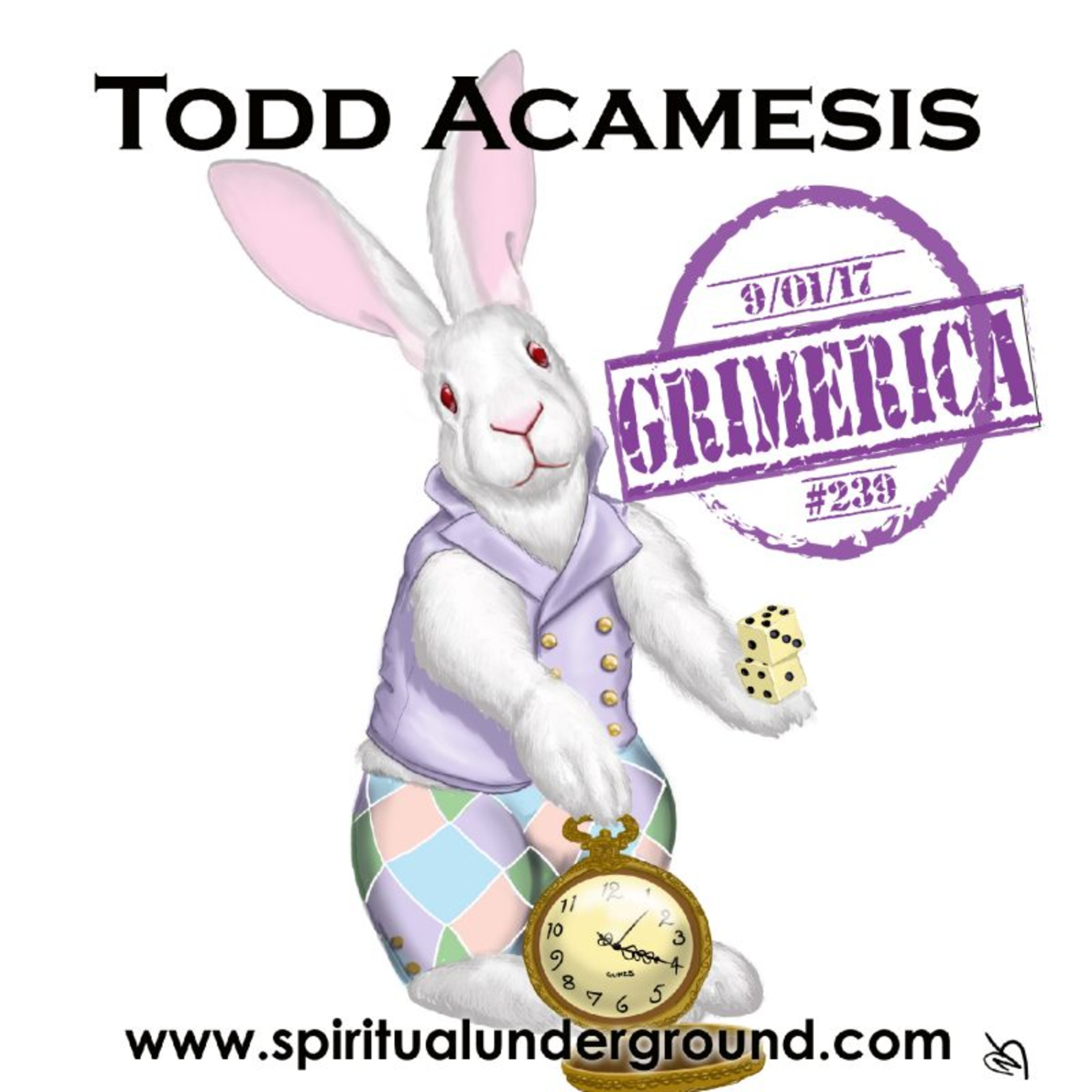 Flow States, Synchronicities & more with Todd Acamesis