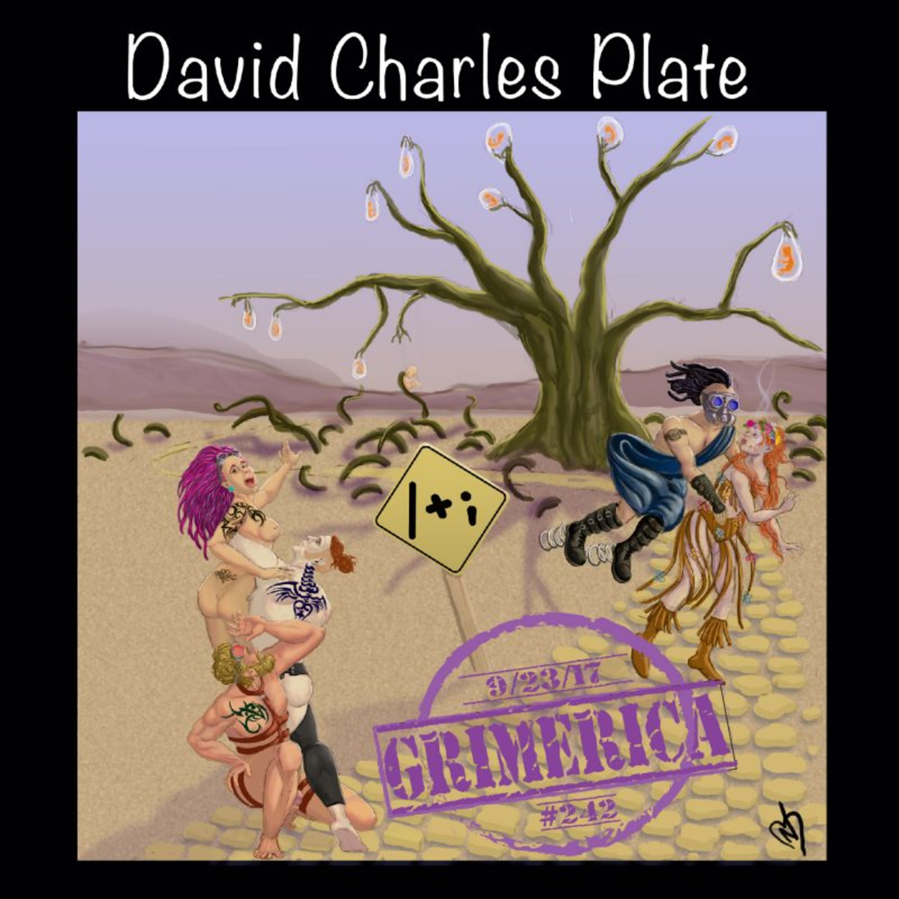 High Level Synchronicity with David Charles Plate