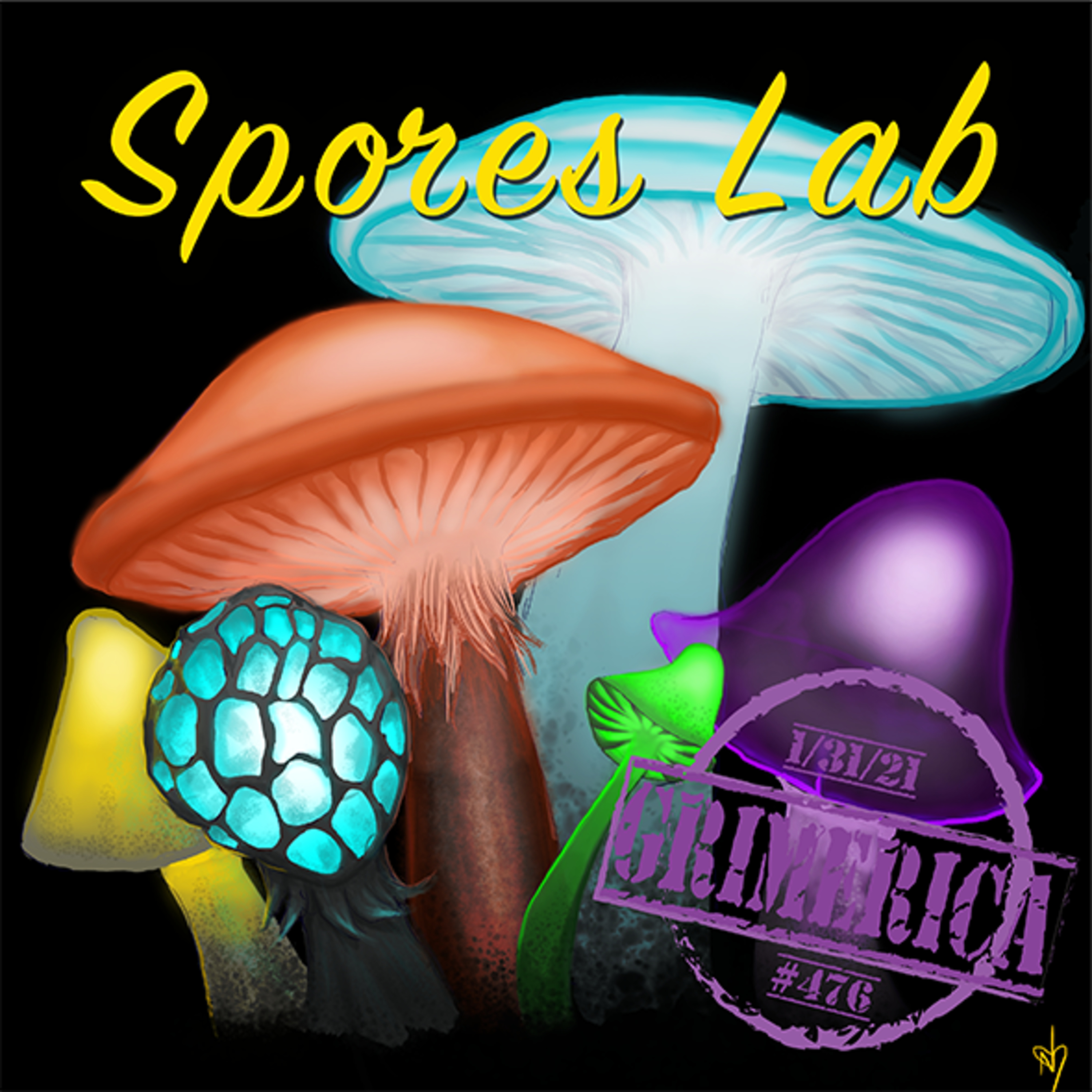 Growing Your Own Mushrooms | Jeff from Spores Lab