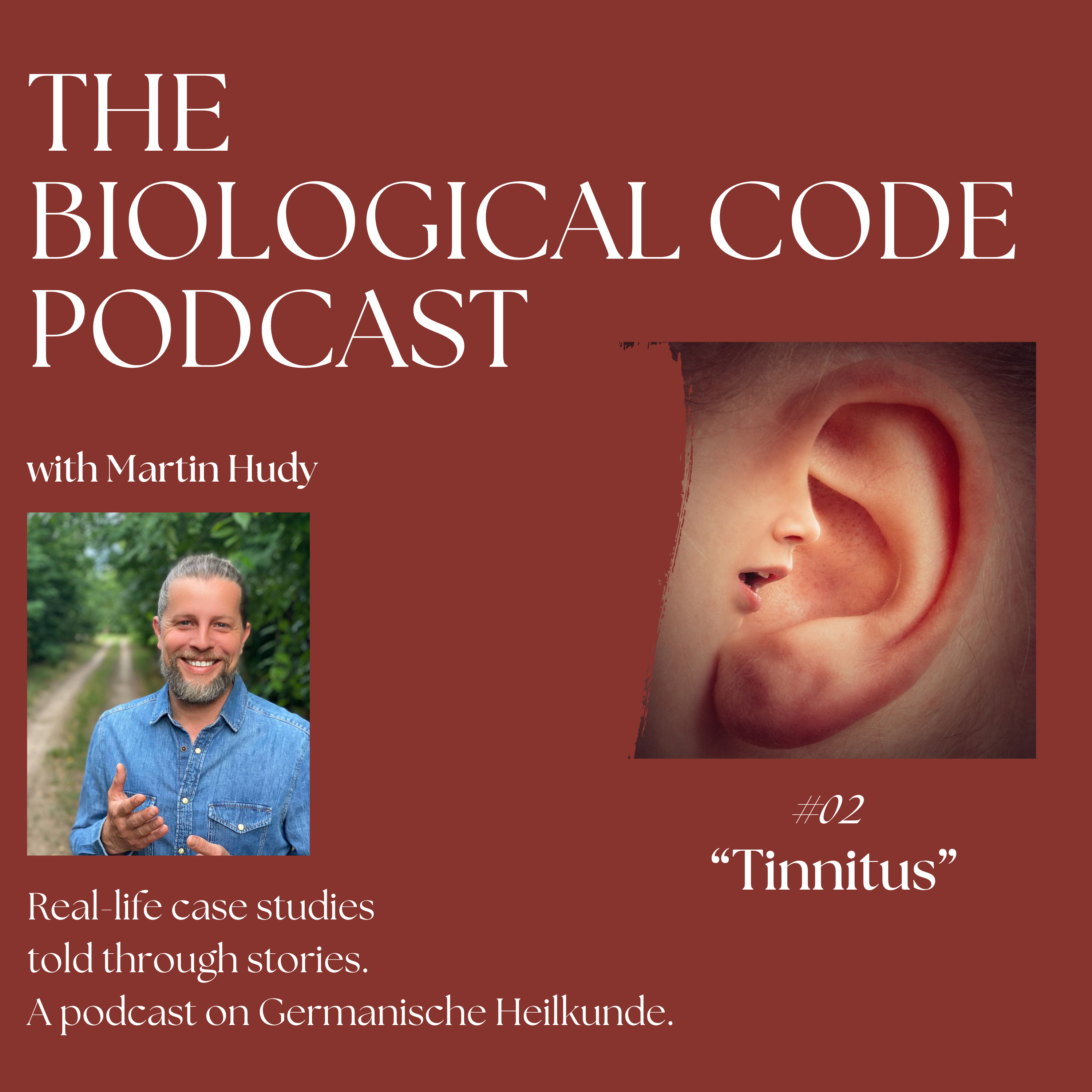 #2 Tinnitus episode artwork
