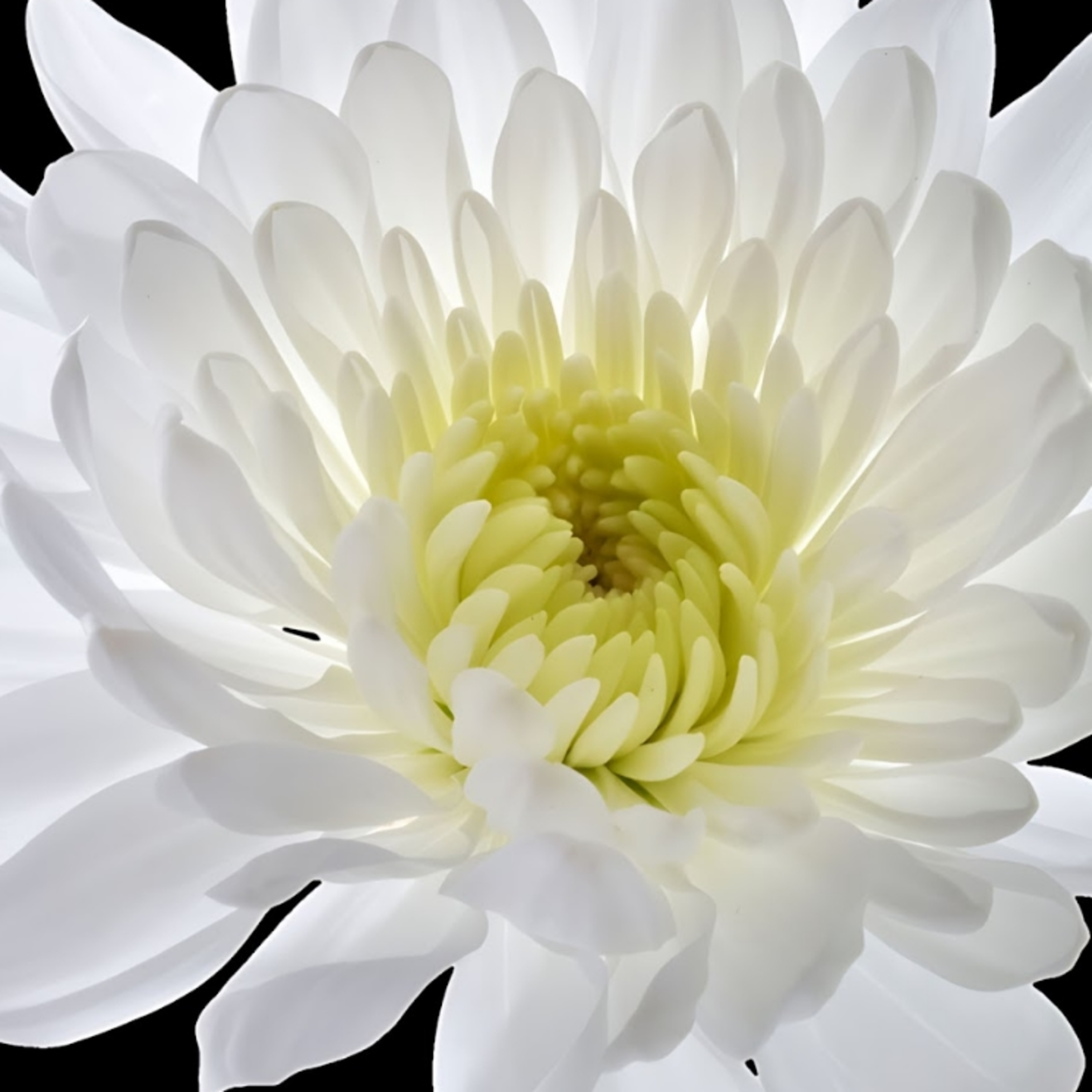 Chuyến Tàu Kể Chuyện | Ảnh Buồn Tâm Trạng