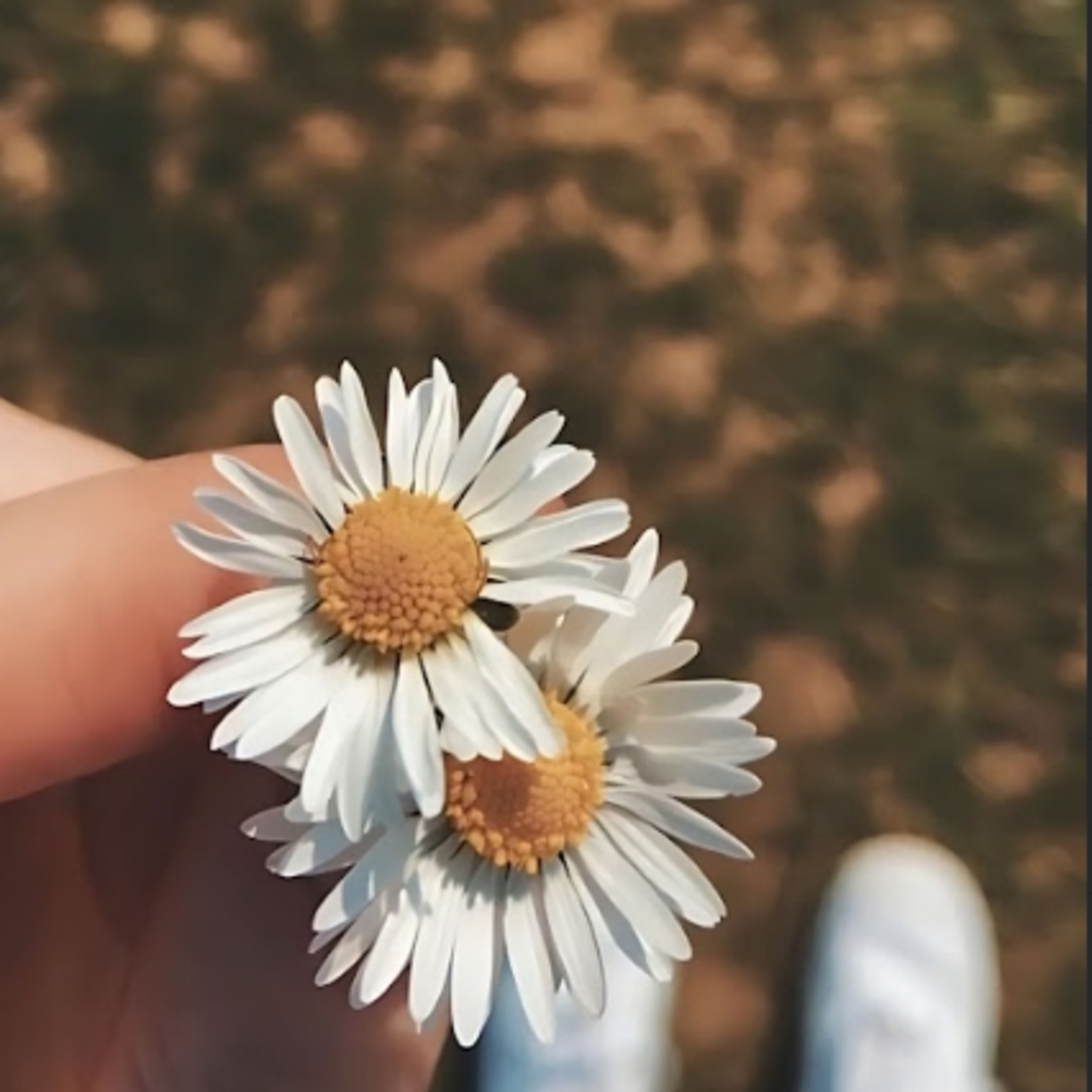 Chuyến Tàu Kể Chuyện | Ảnh Buồn Tâm Trạng